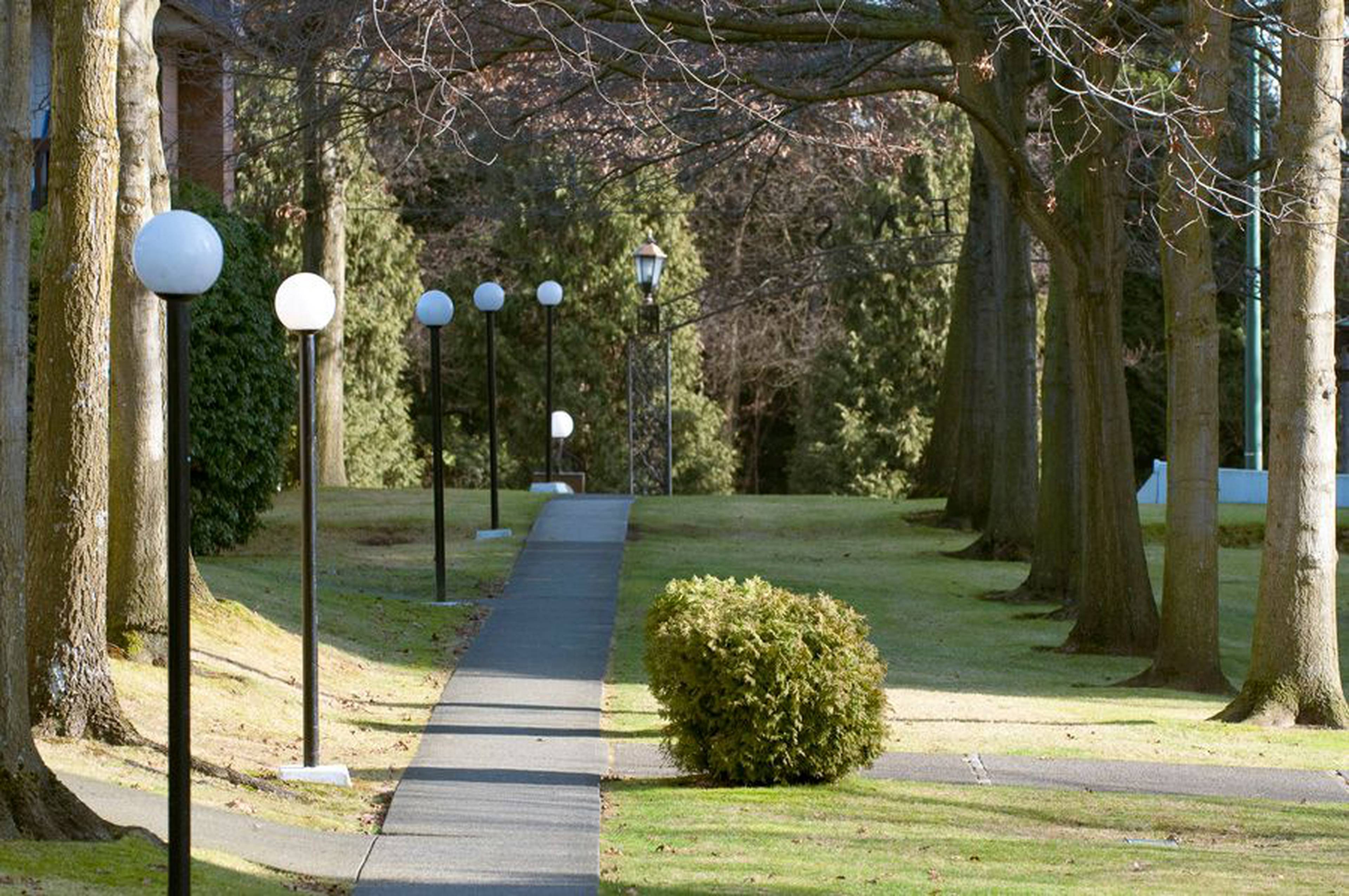 Langara Gardens 7288 Neal St Apartments for Rent Vancouver liv.rent