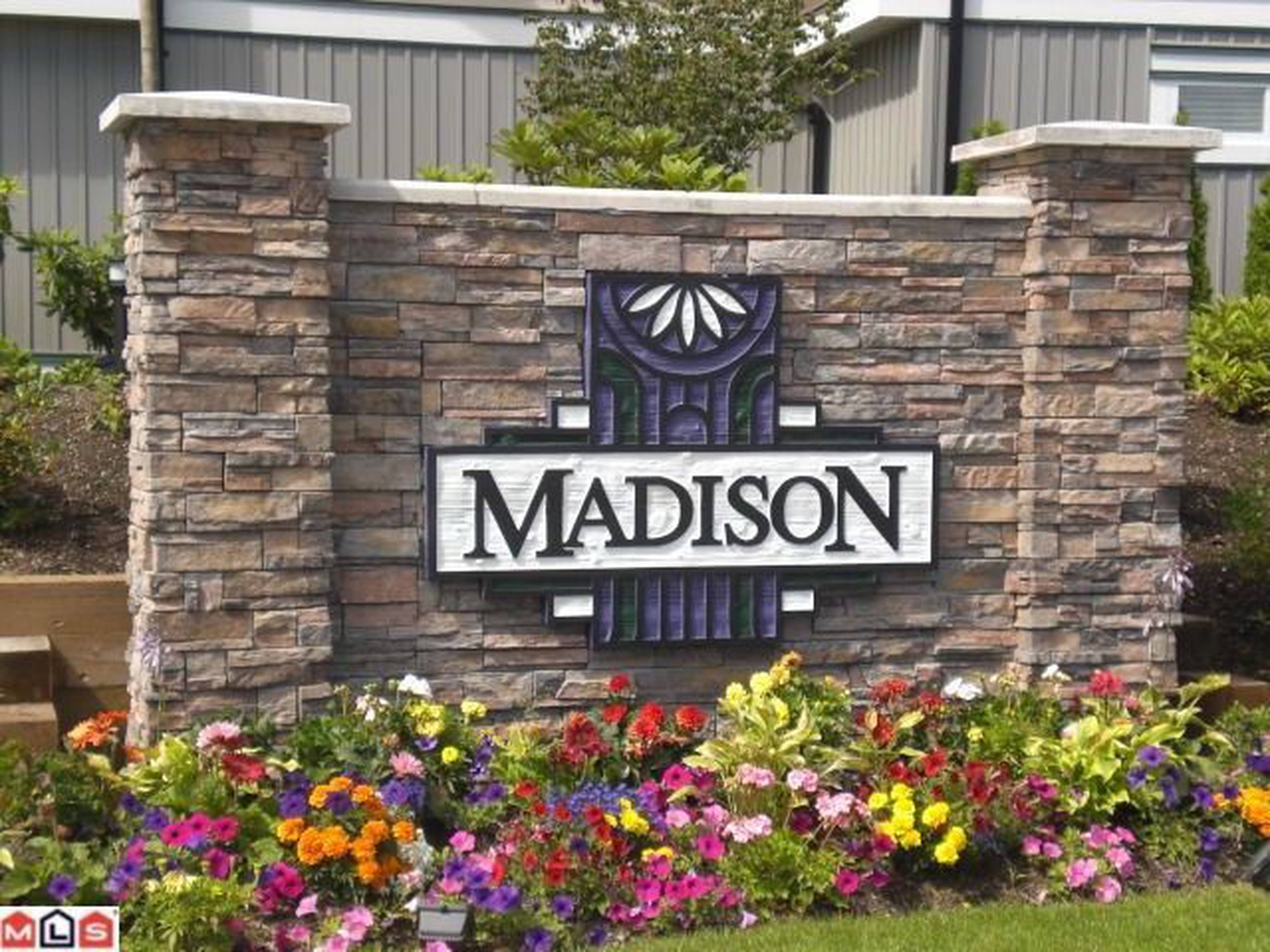 Madison 14356 63A Ave Apartments for Rent Surrey liv.rent