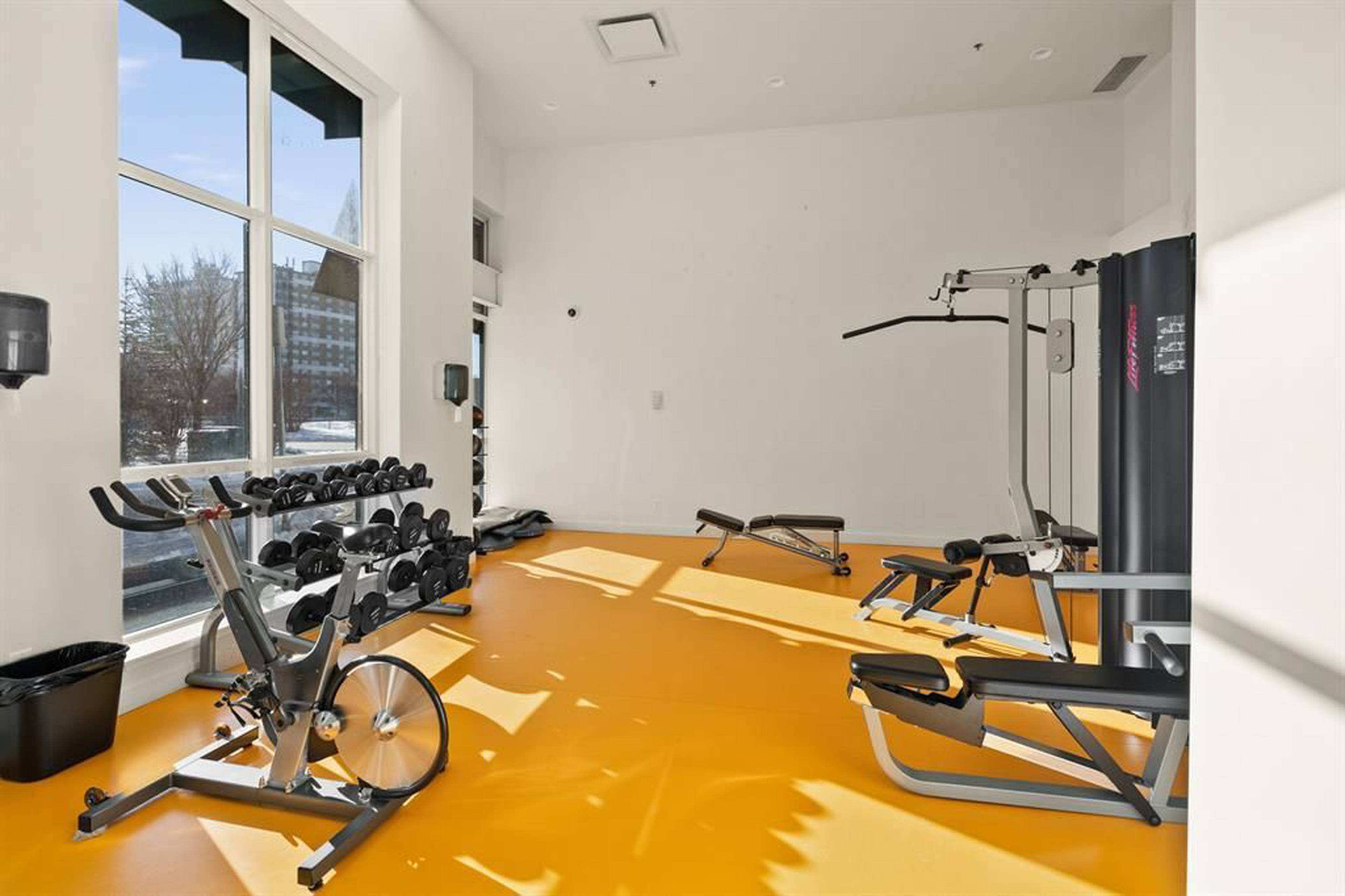 Brentwood Rd NW 3820 Brentwood Rd NW Apartments for Rent Calgary