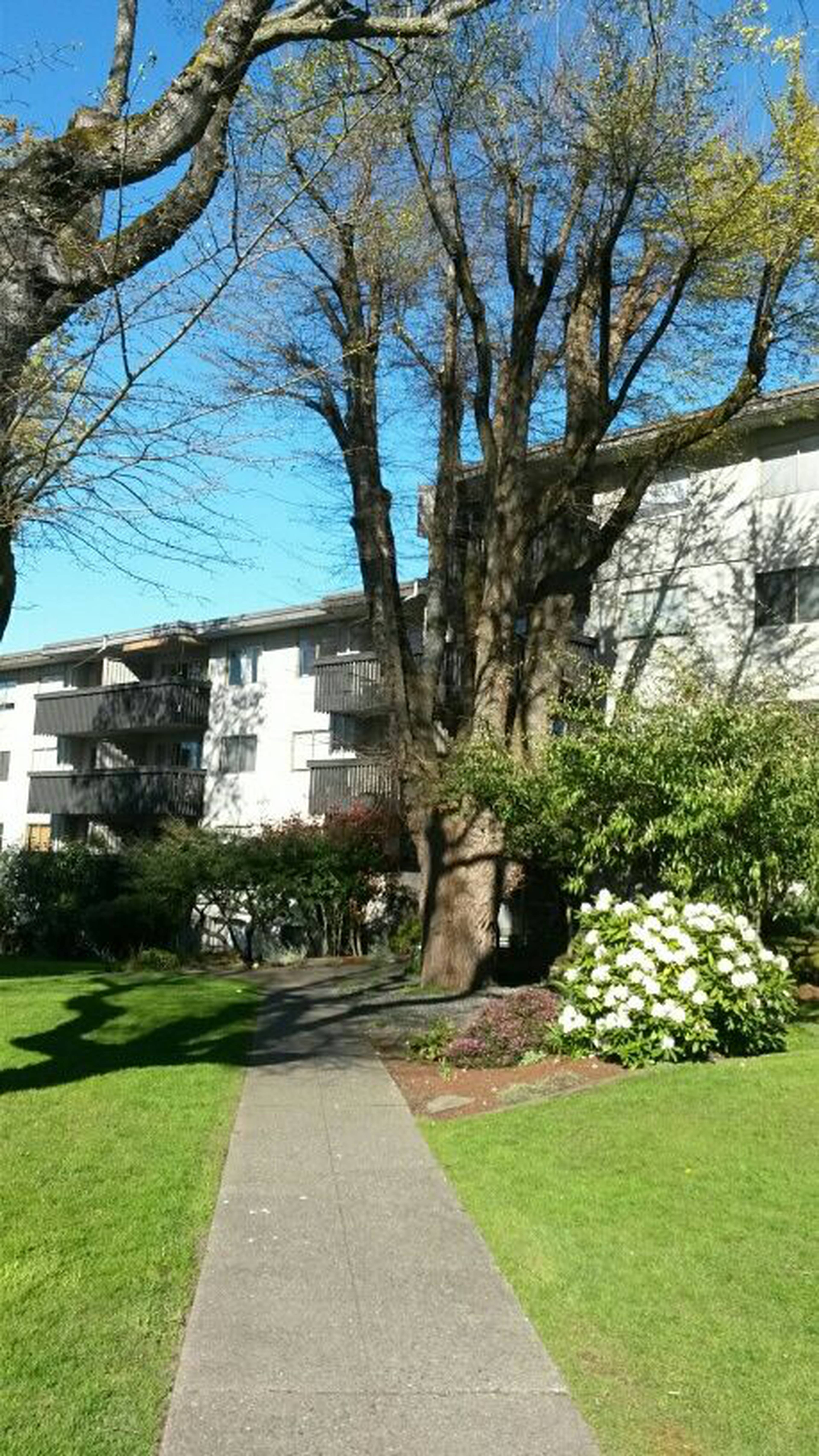 Elmwood Terrace Apartment Building