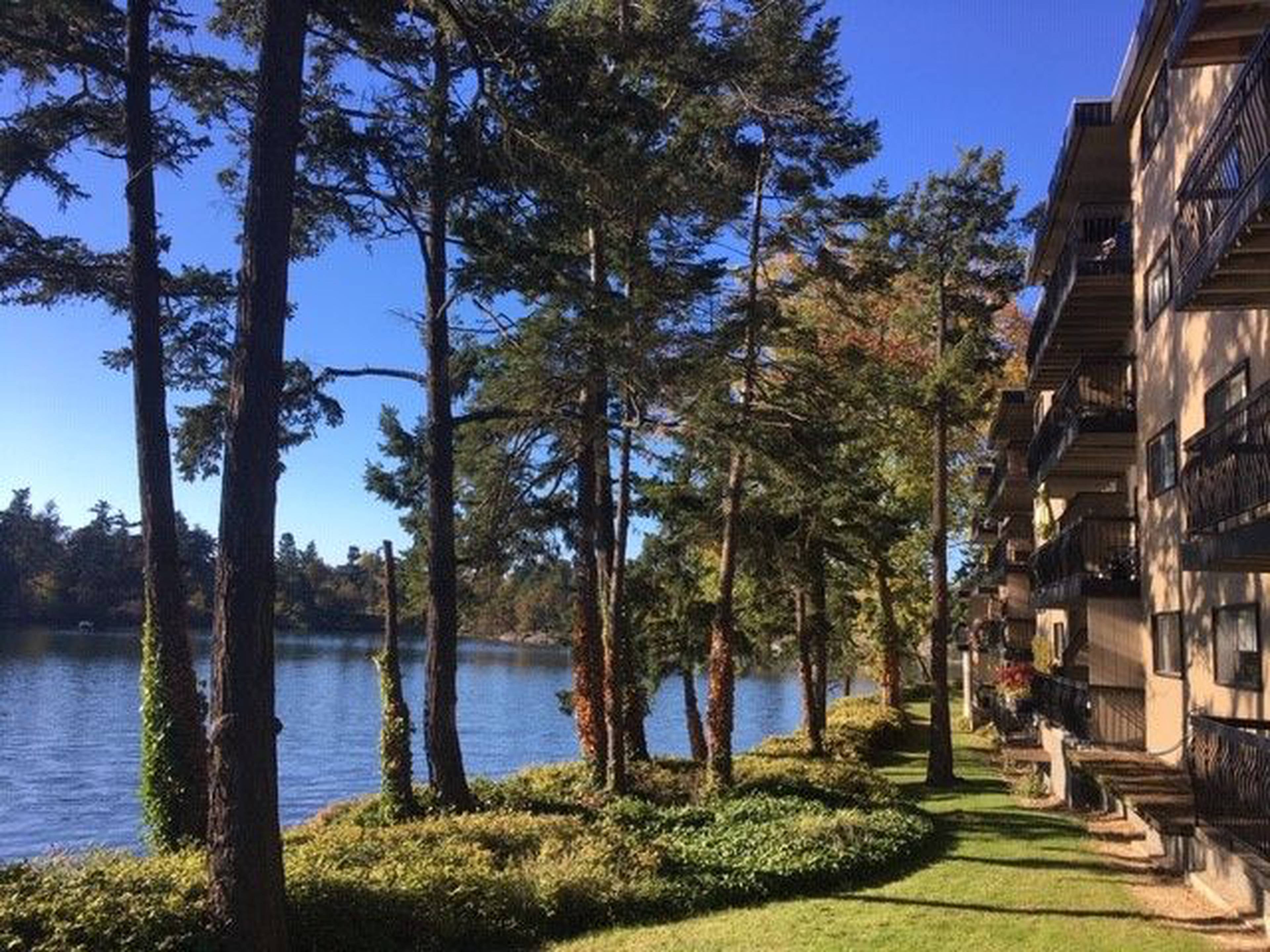 Gordreau Apartments 129 Rd E Apartments for Rent Victoria liv.rent