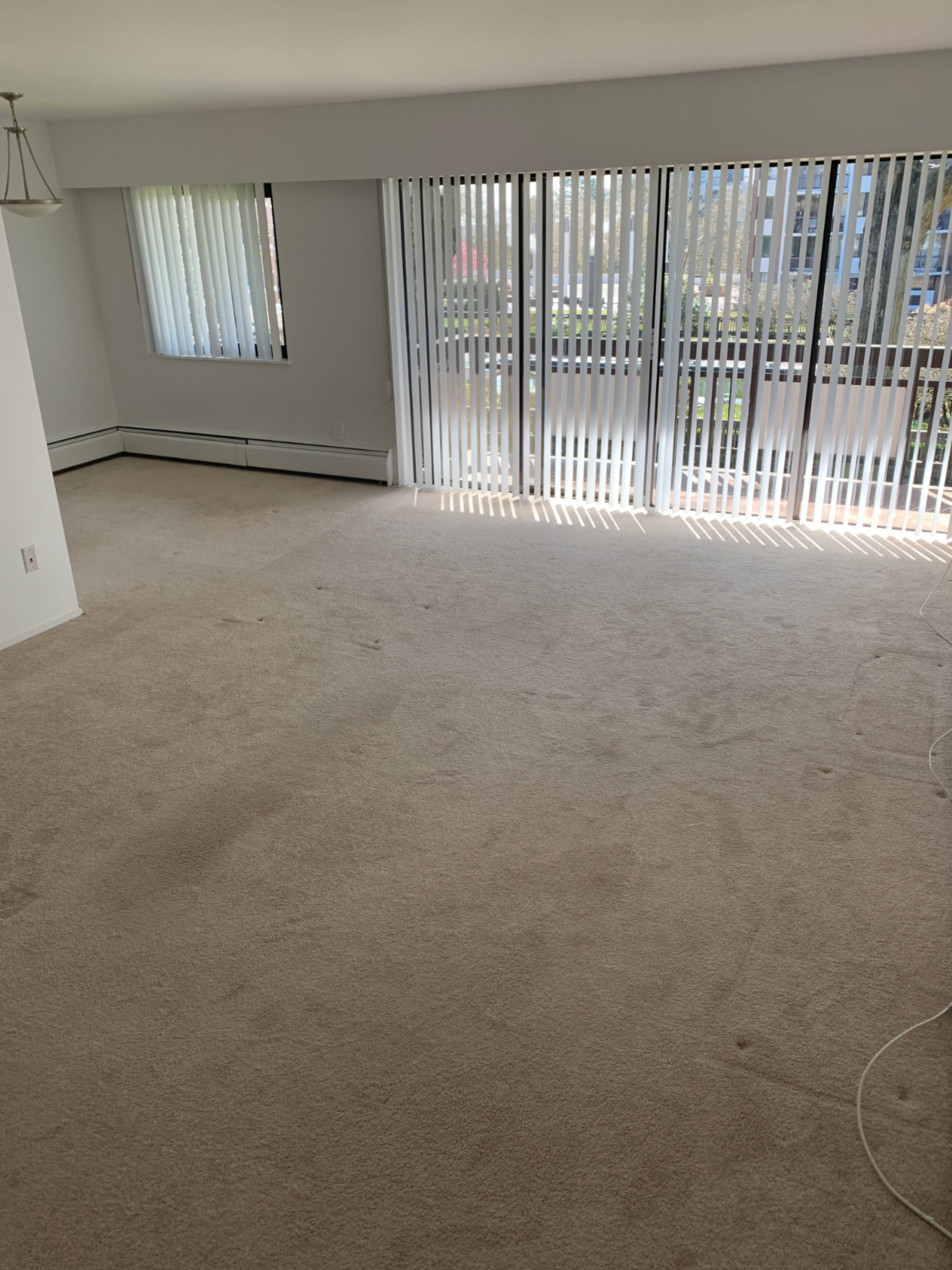 7165 Ash Cres 2