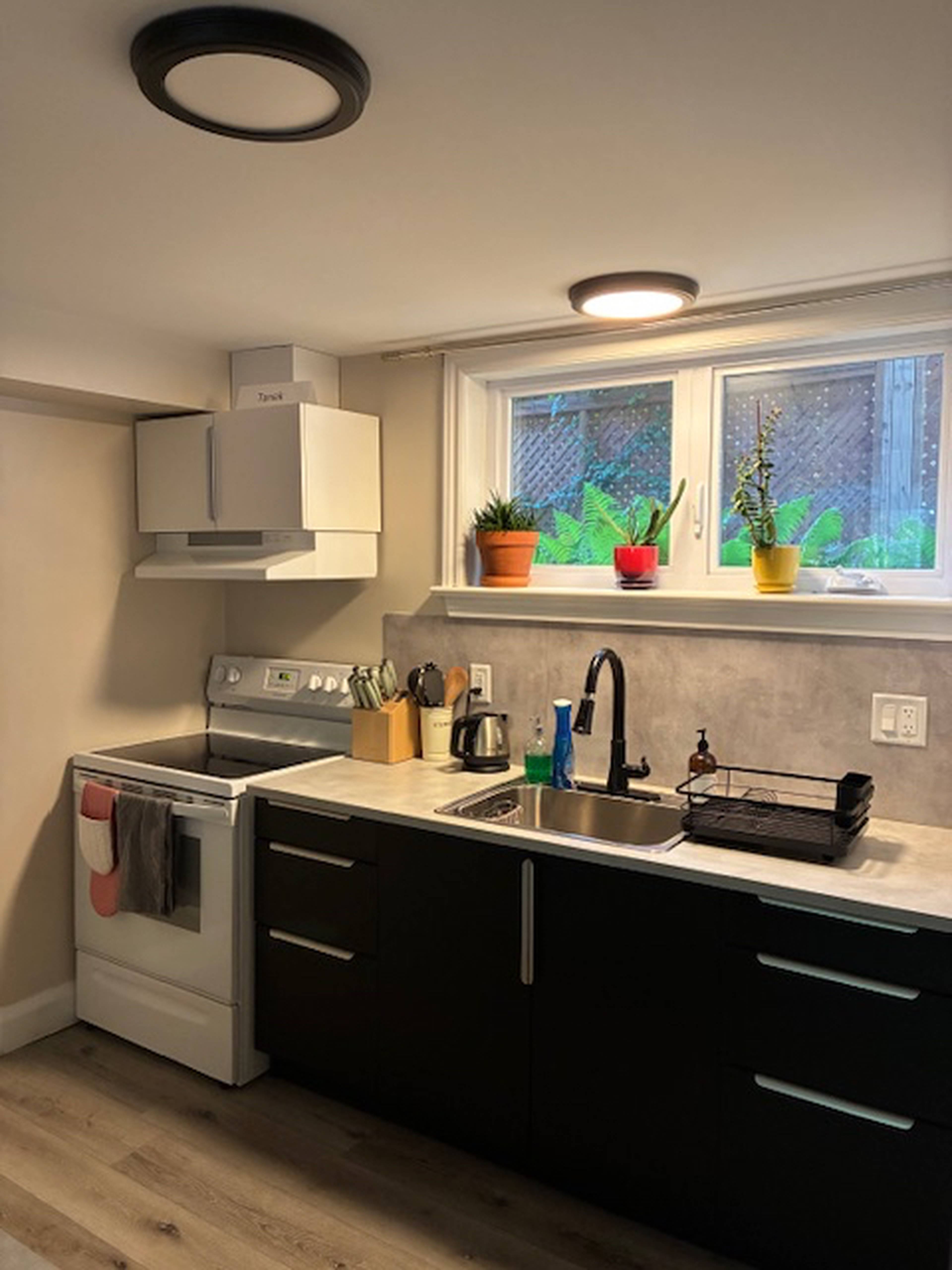 1 室  · 1 卫 for rent $1,650 / 月