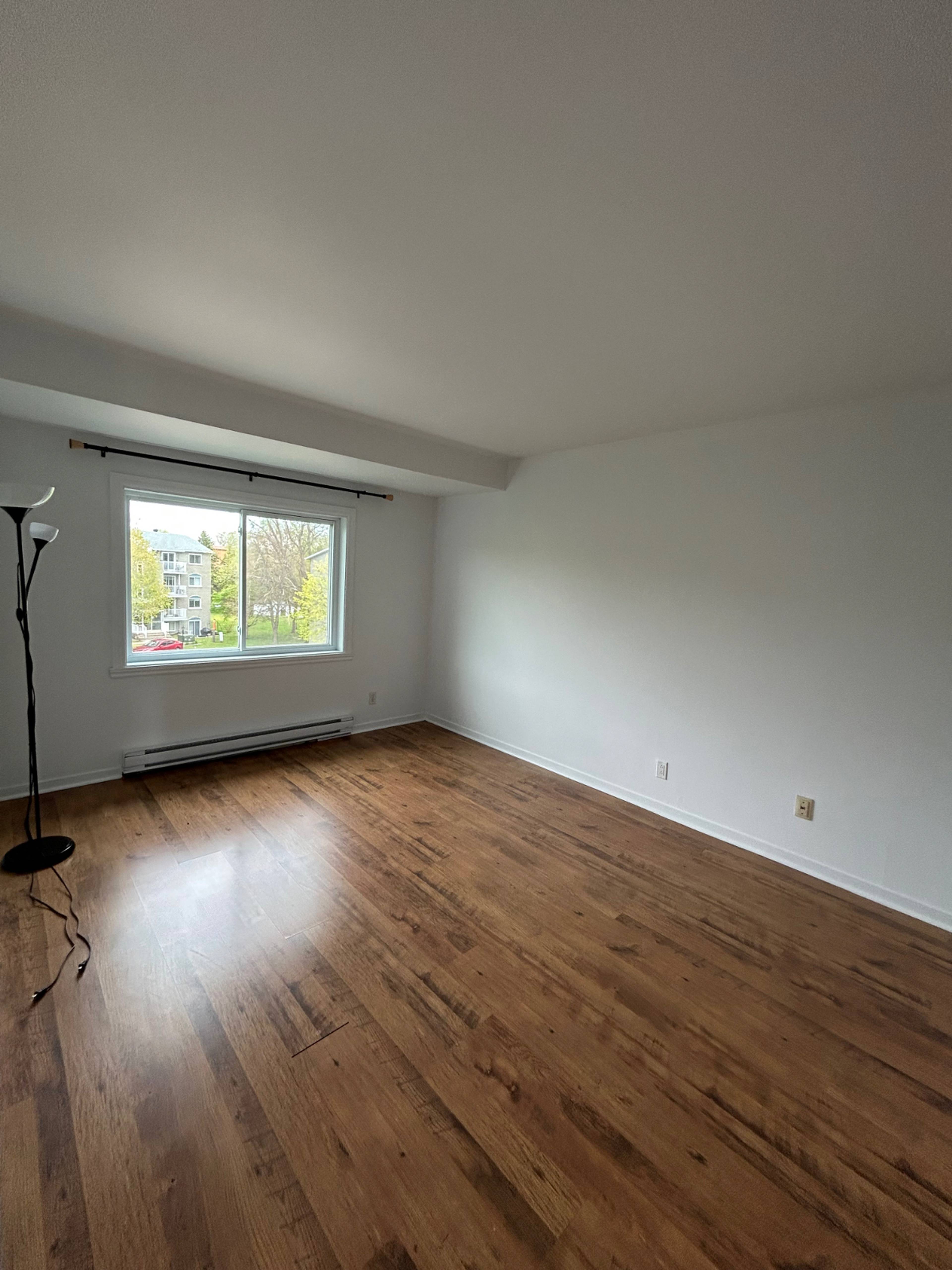 113 Rue Lalande 6