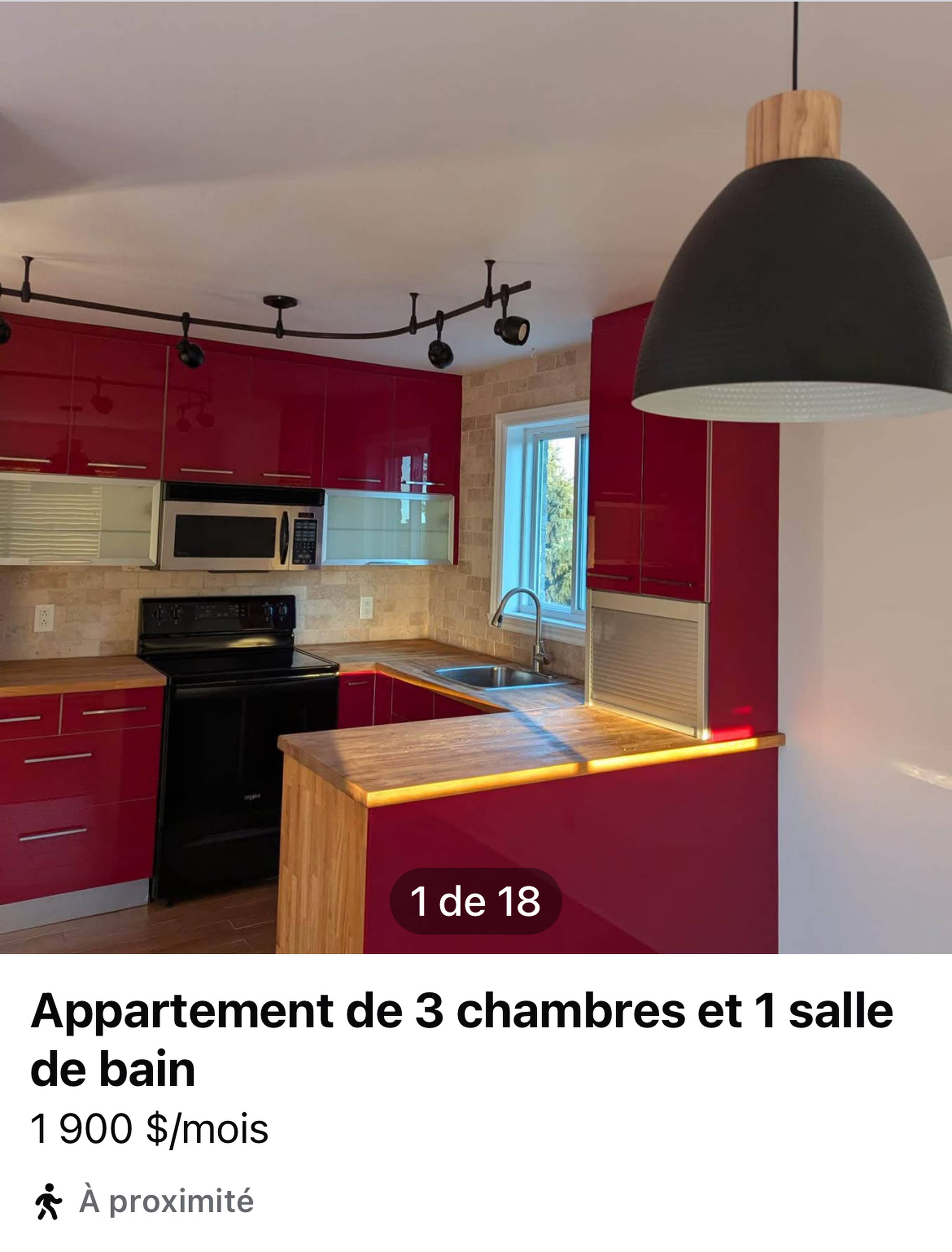 113 Rue Lalande 7