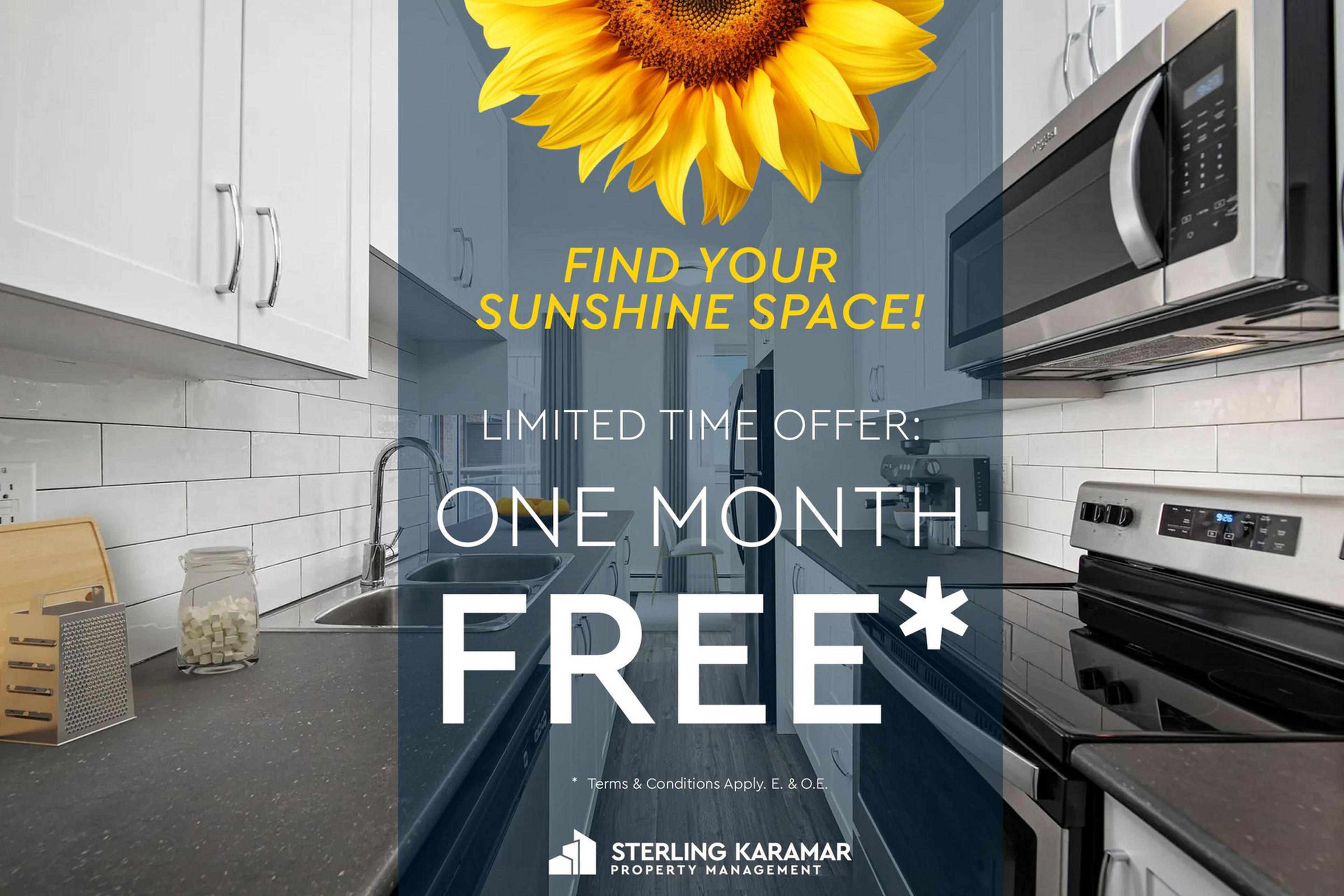 单身公寓  · 1 卫 for rent $1,541+ / 月