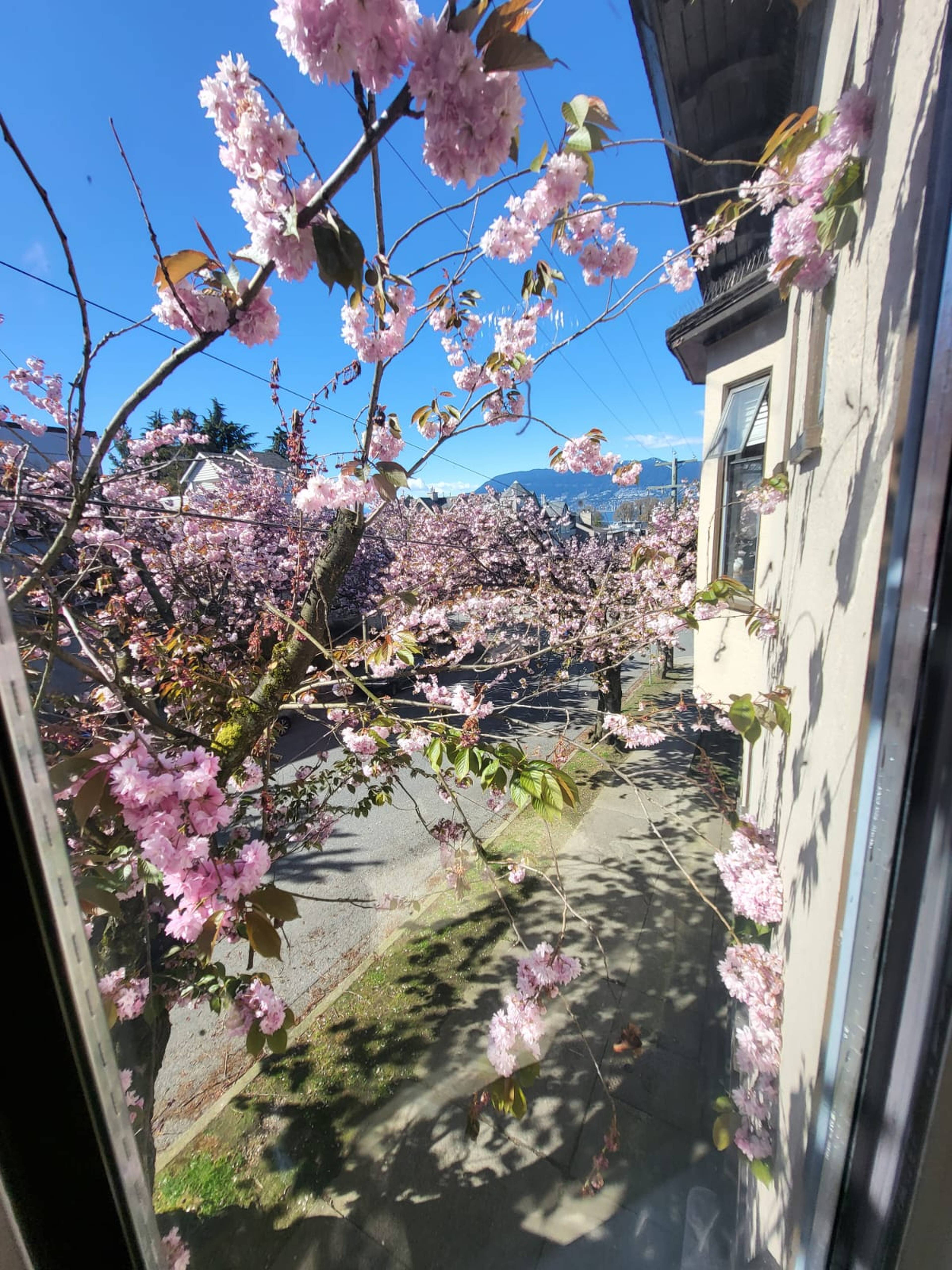 2 Bed  · 1 Bath for rent $3,338 / month