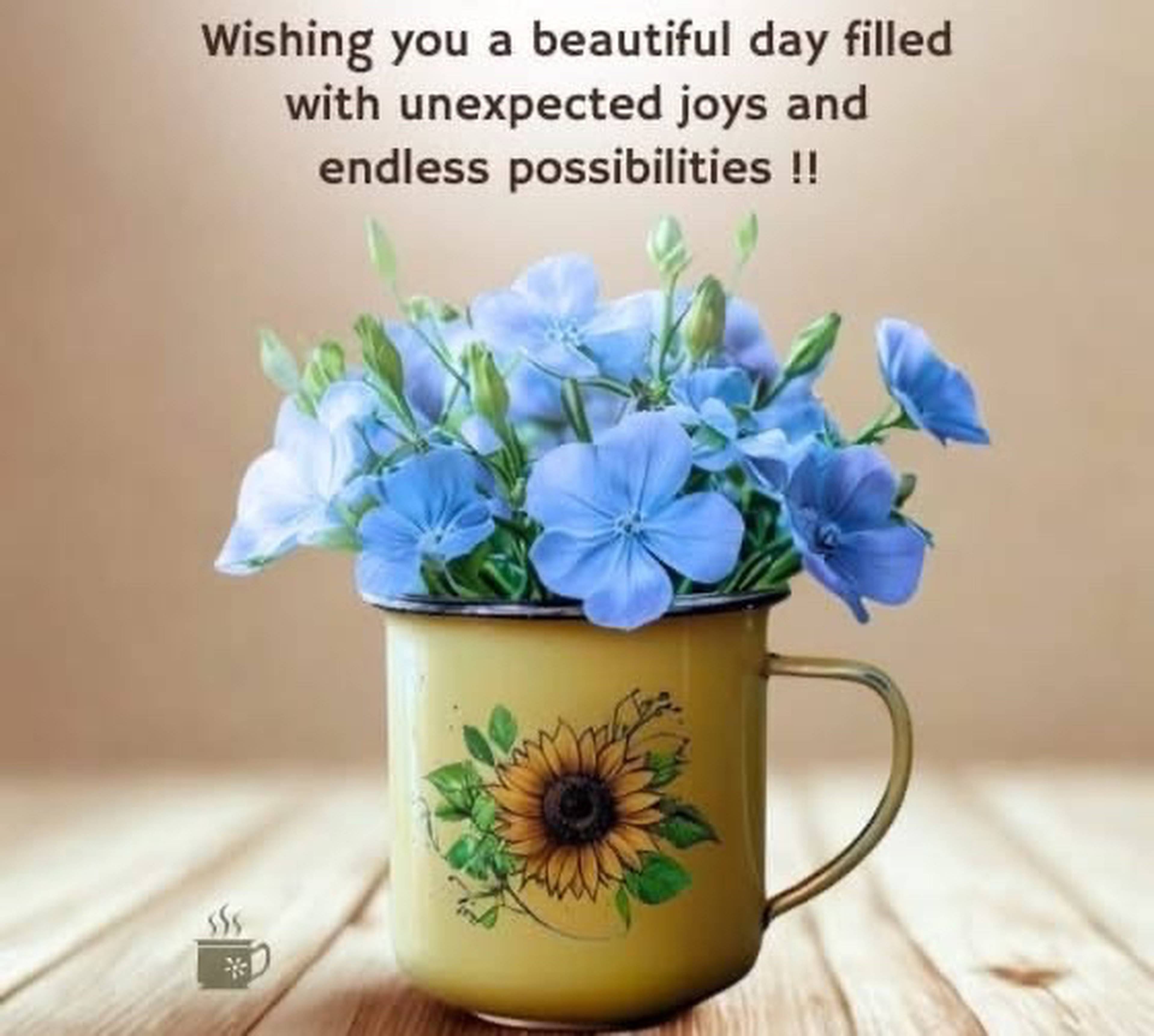 Room for rent $575 / month