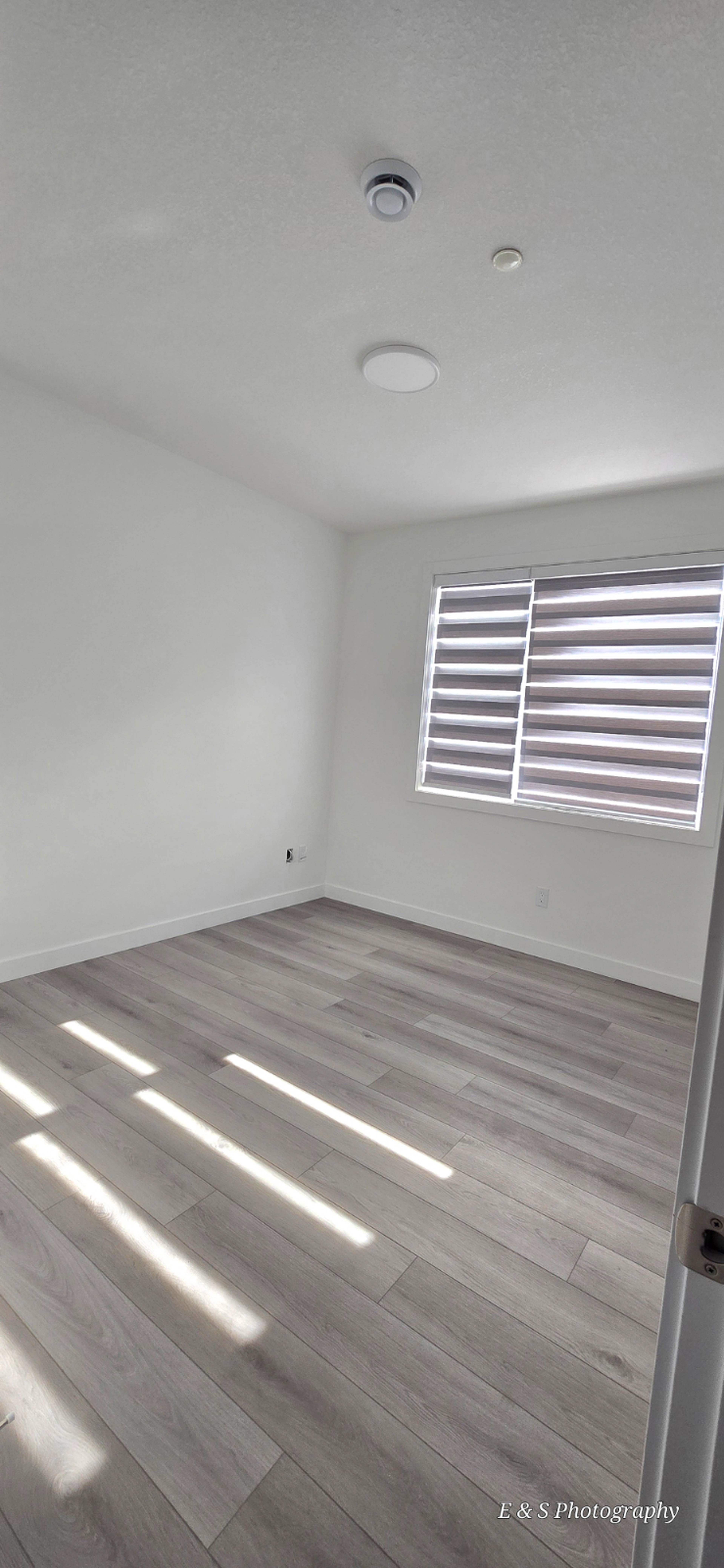 Room for rent $1,000 / month