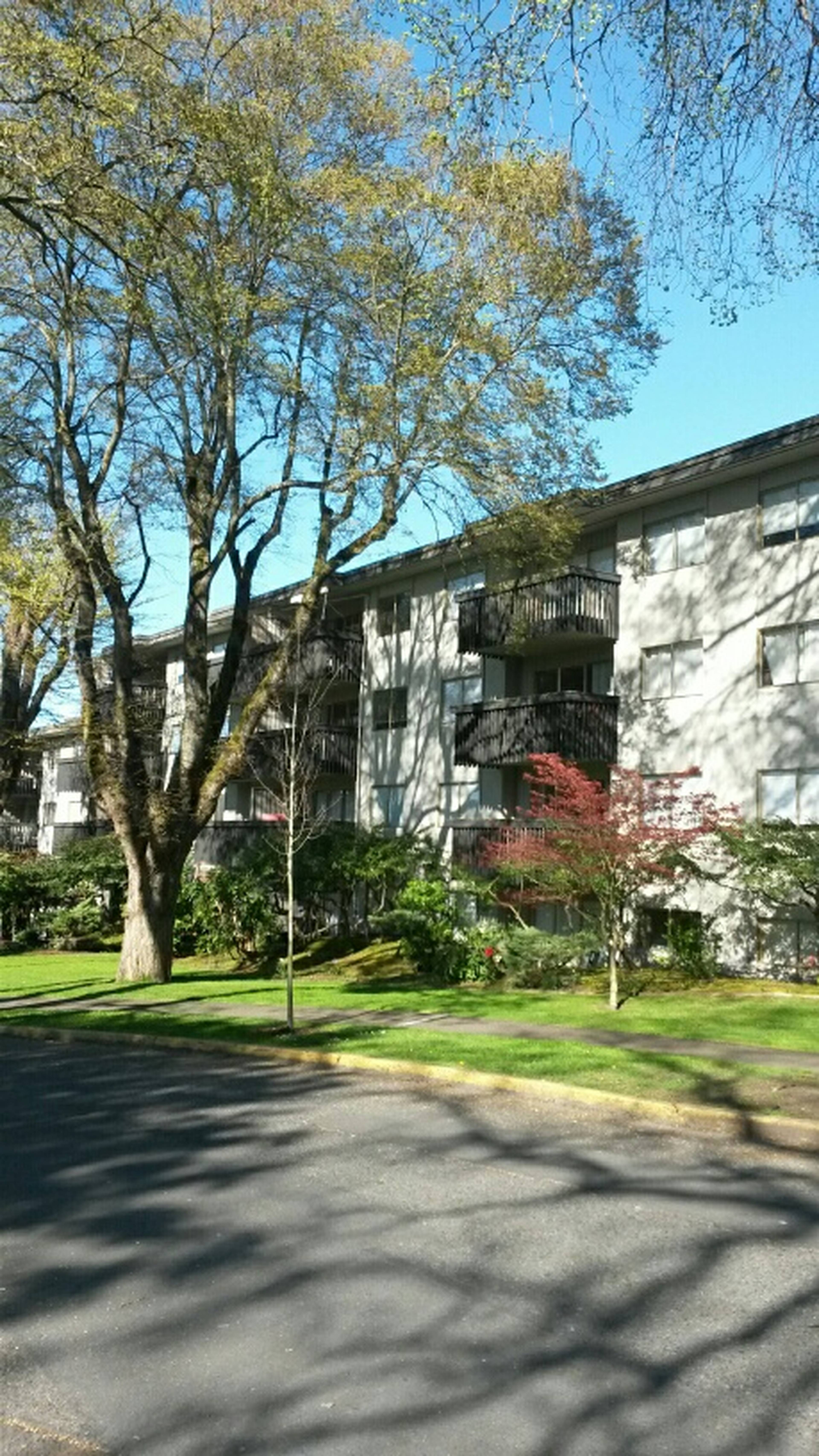 1 Bed  · 1 Bath for rent $2,100 / month