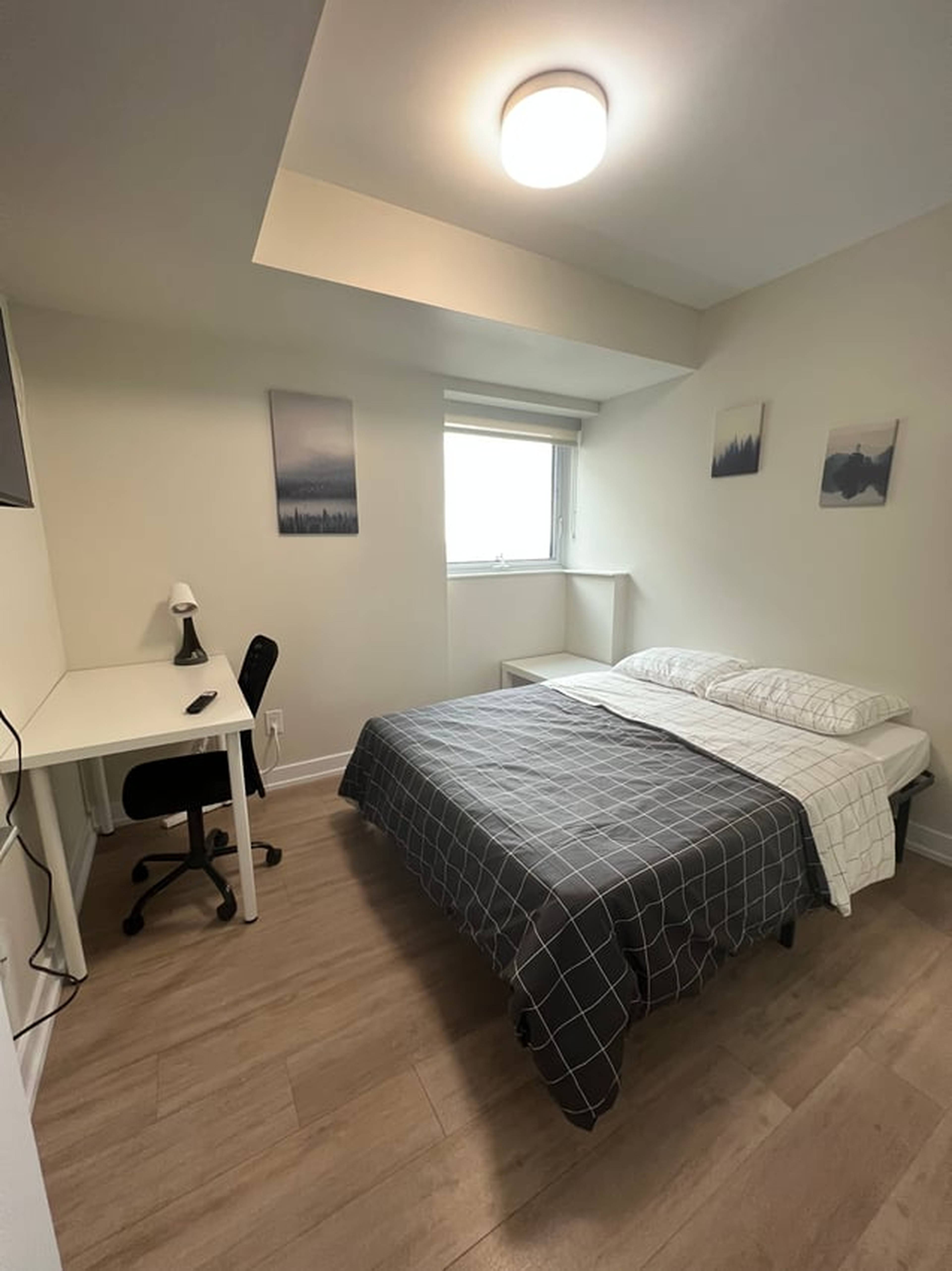 单间 for rent $1,240 / 月