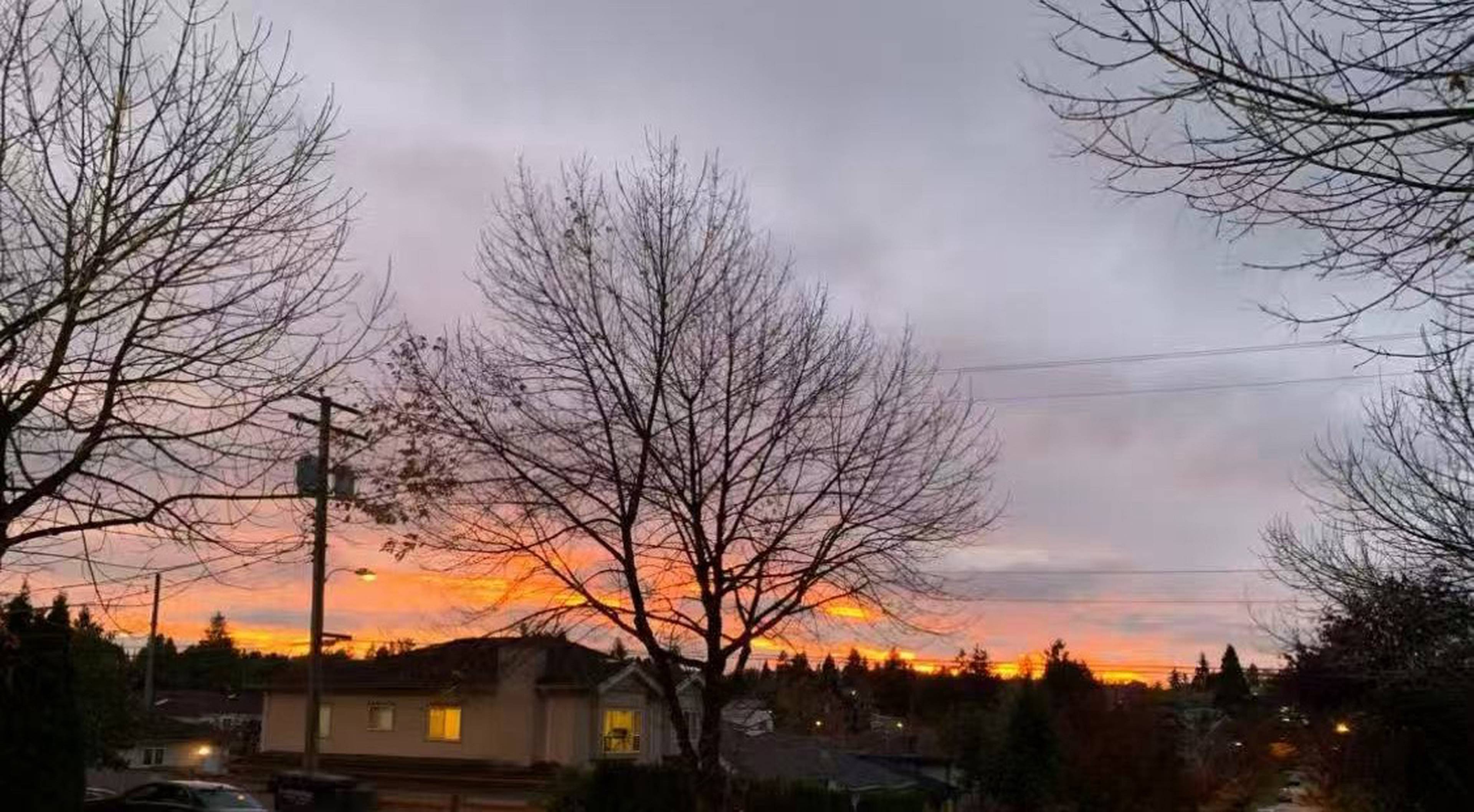 单身公寓  · 1 卫 for rent $1,700 / 月