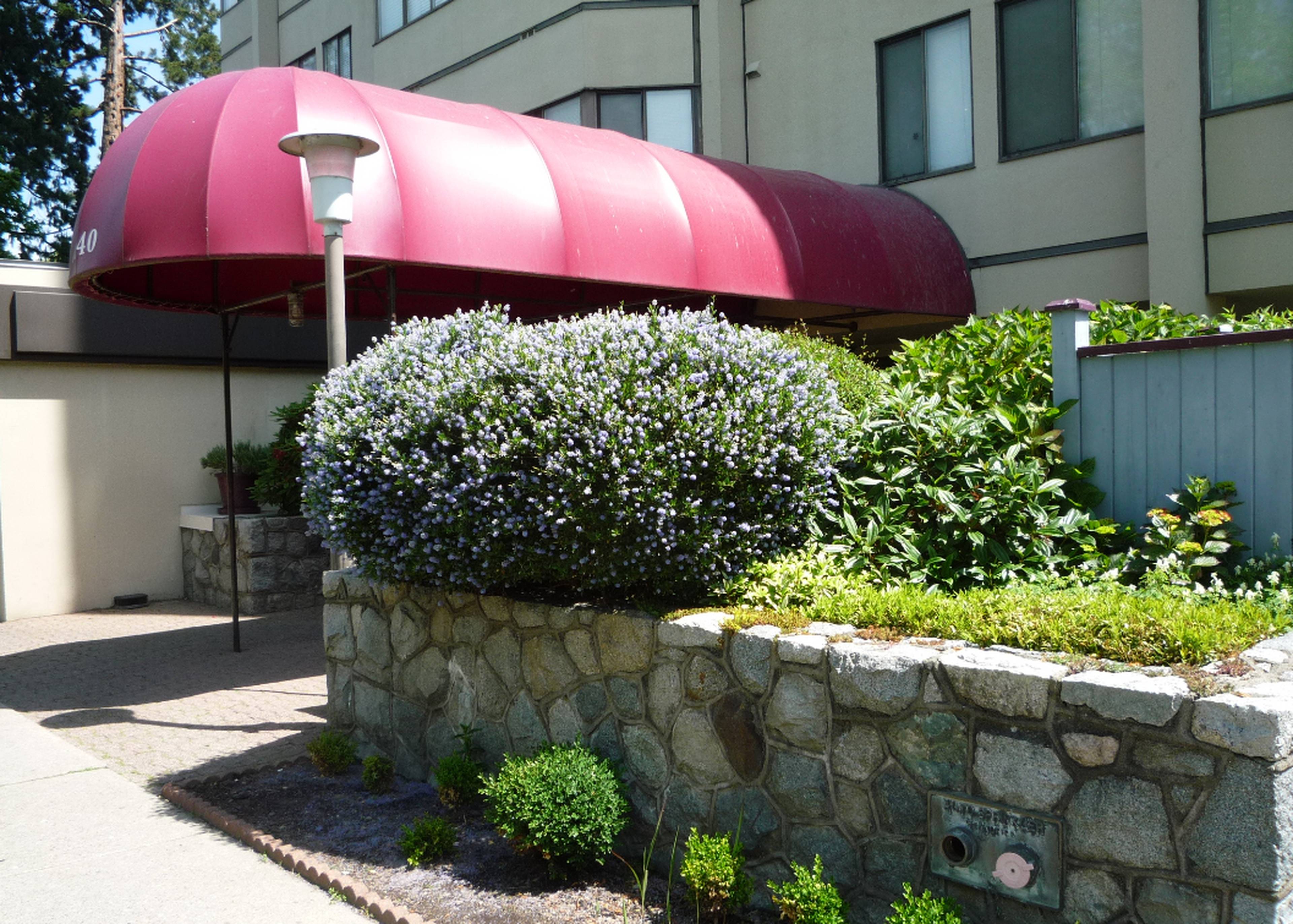 2 Bed  · 1 Bath for rent $2,600 / month