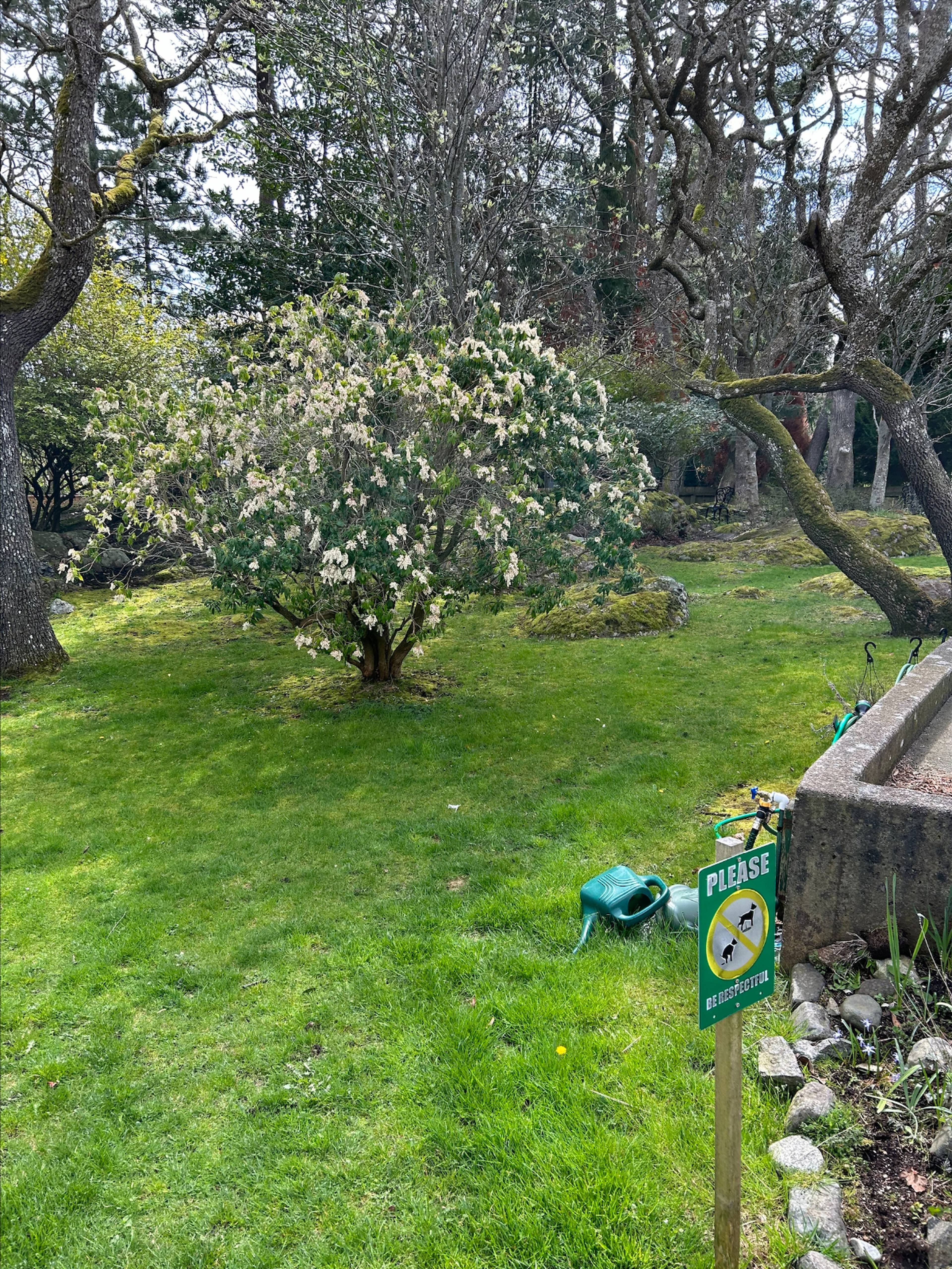 2 Bed  · 2 Bath for rent $2,600 / month