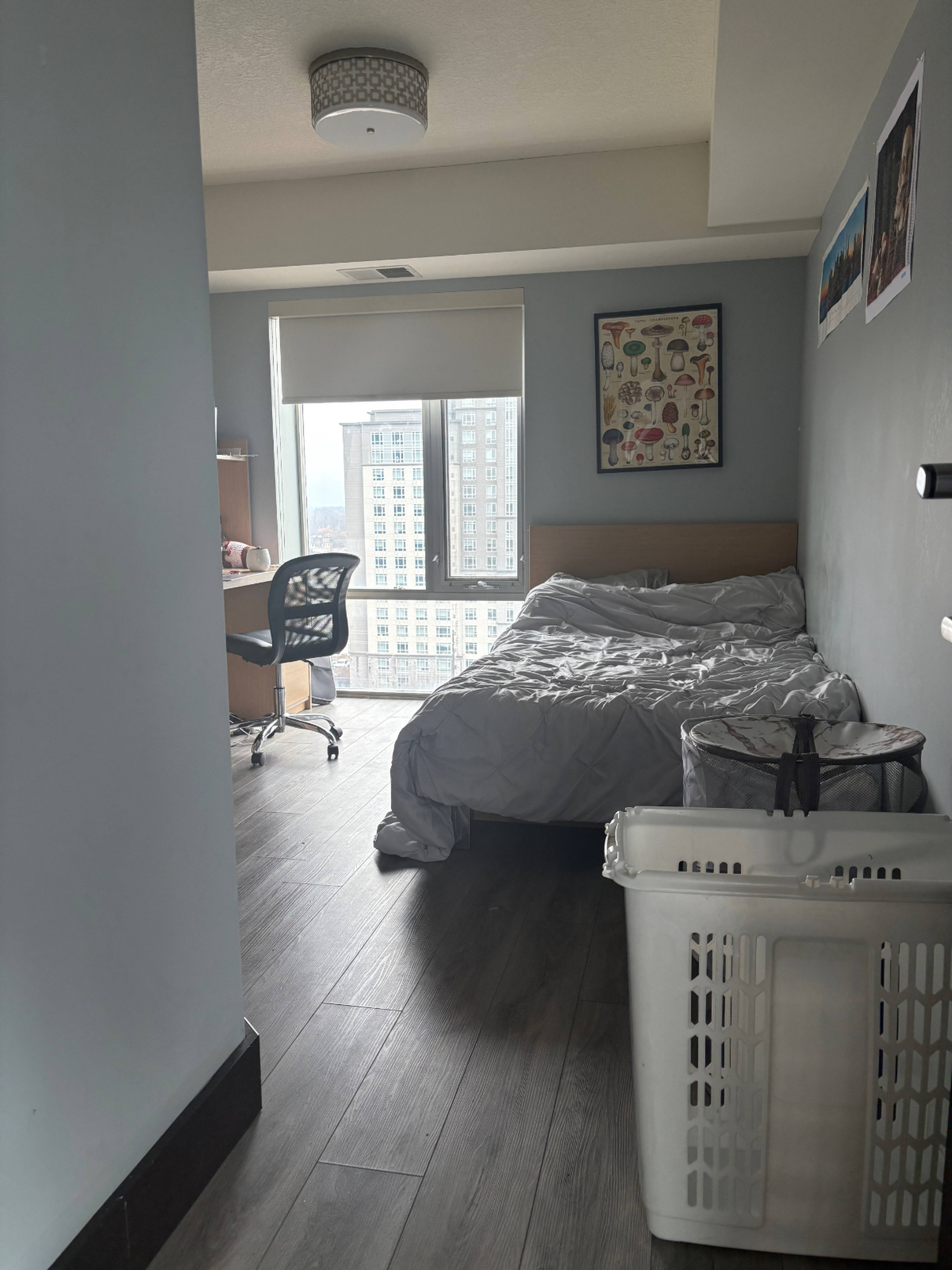 单间 for rent $800 / 月