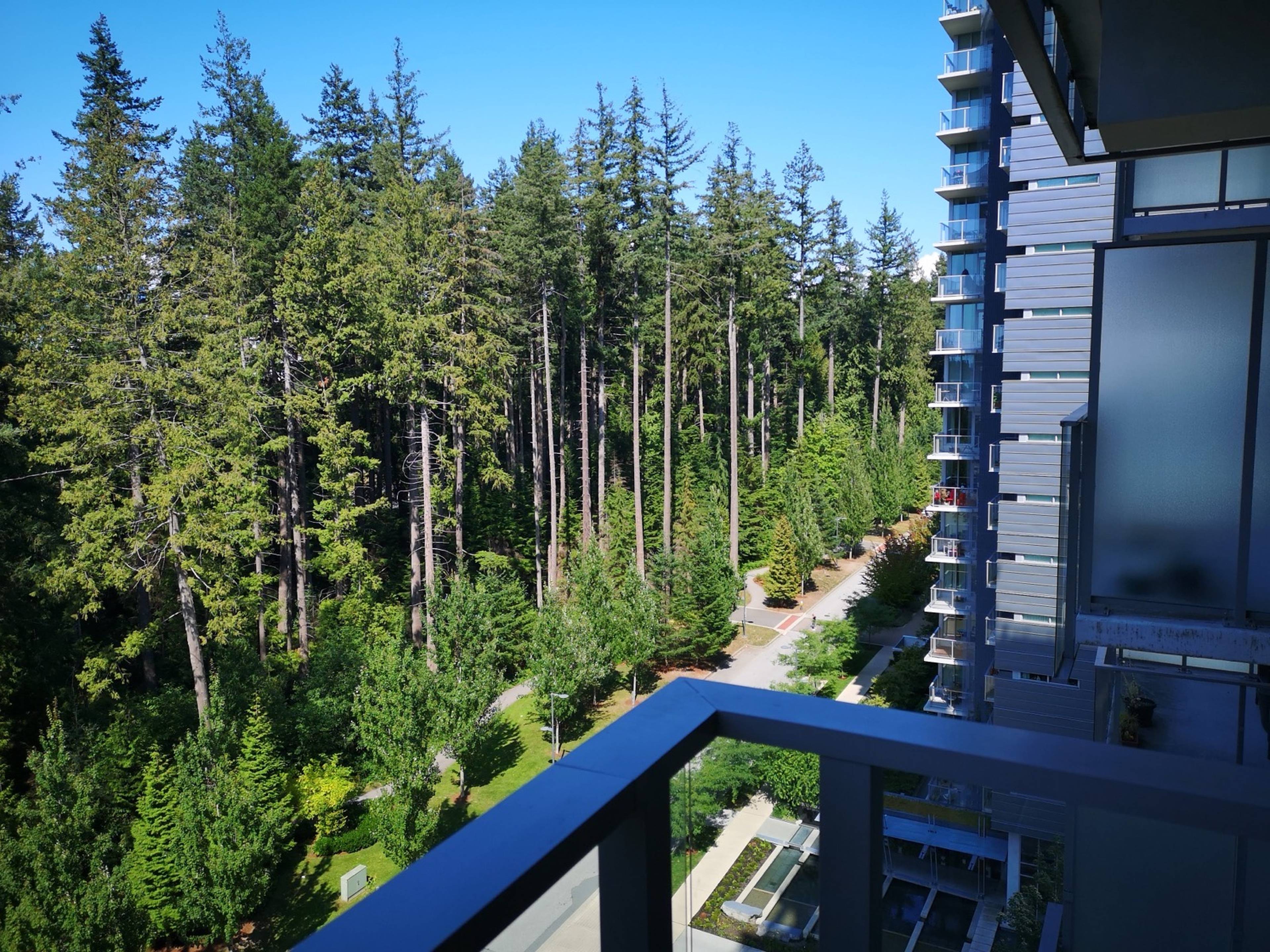 2 Bed  · 2 Bath for rent $3,700 / month