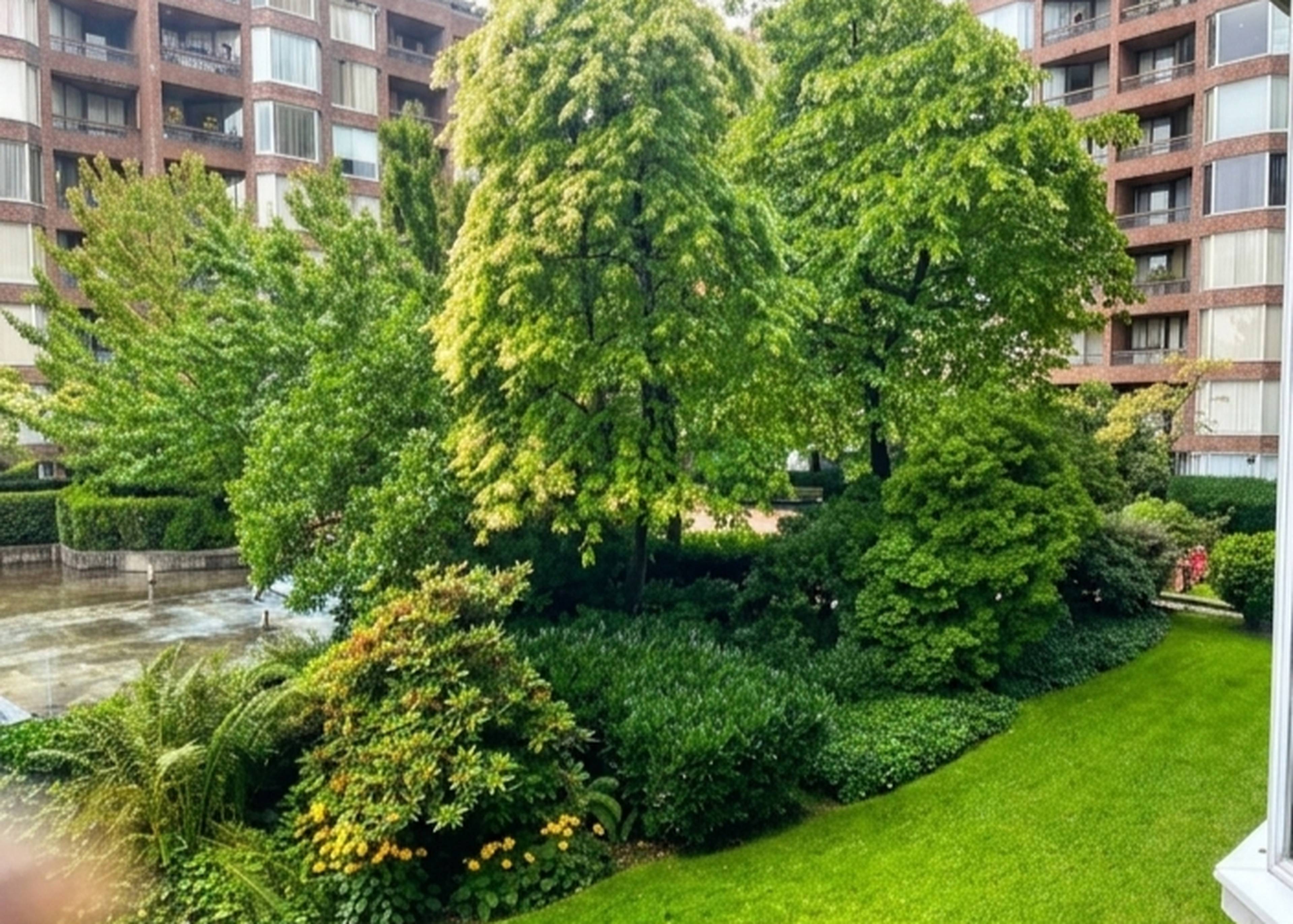 1 Bed  · 1 Bath for rent $2,400 / month