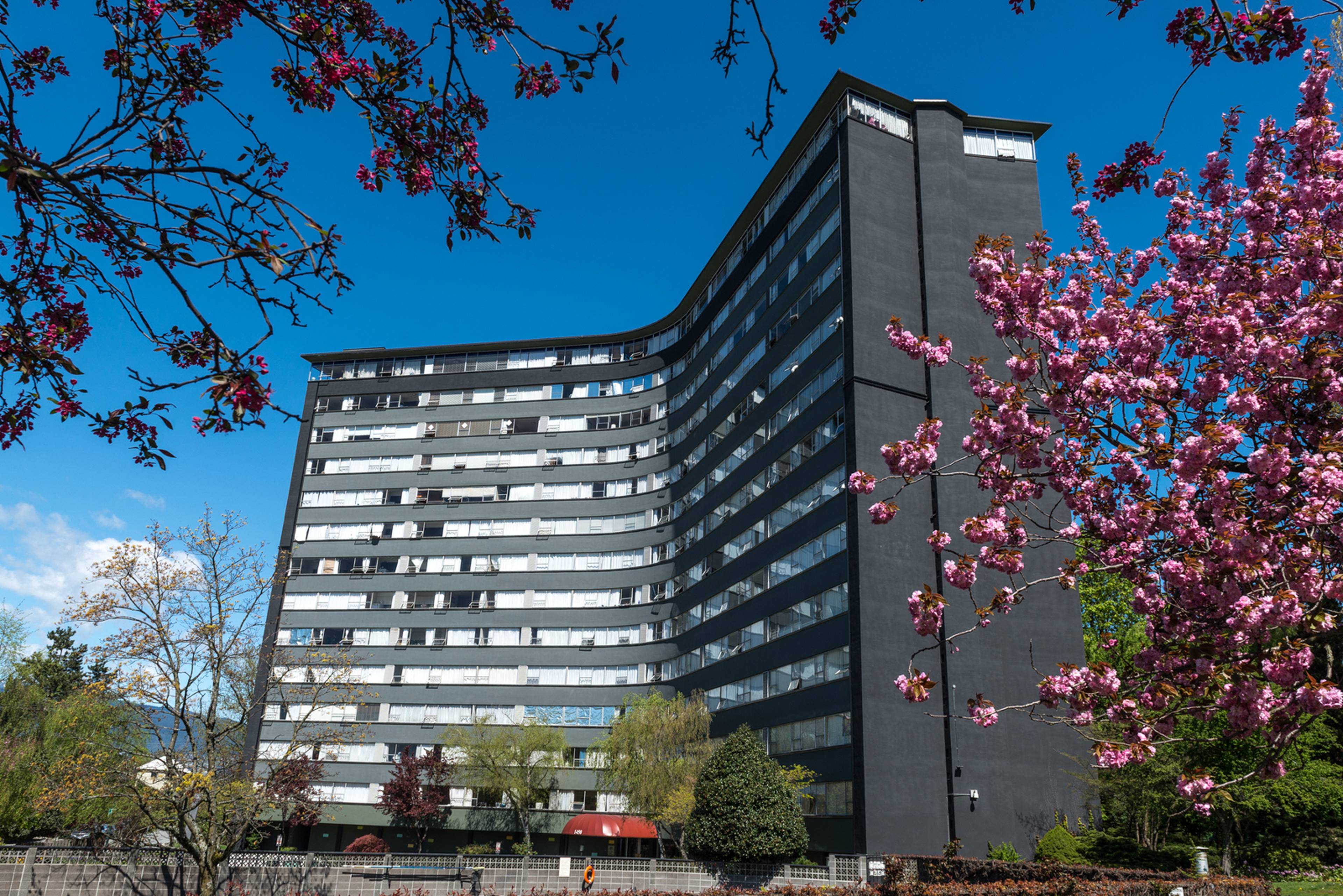 1 Bed  · 1 Bath for rent $1,800 / month