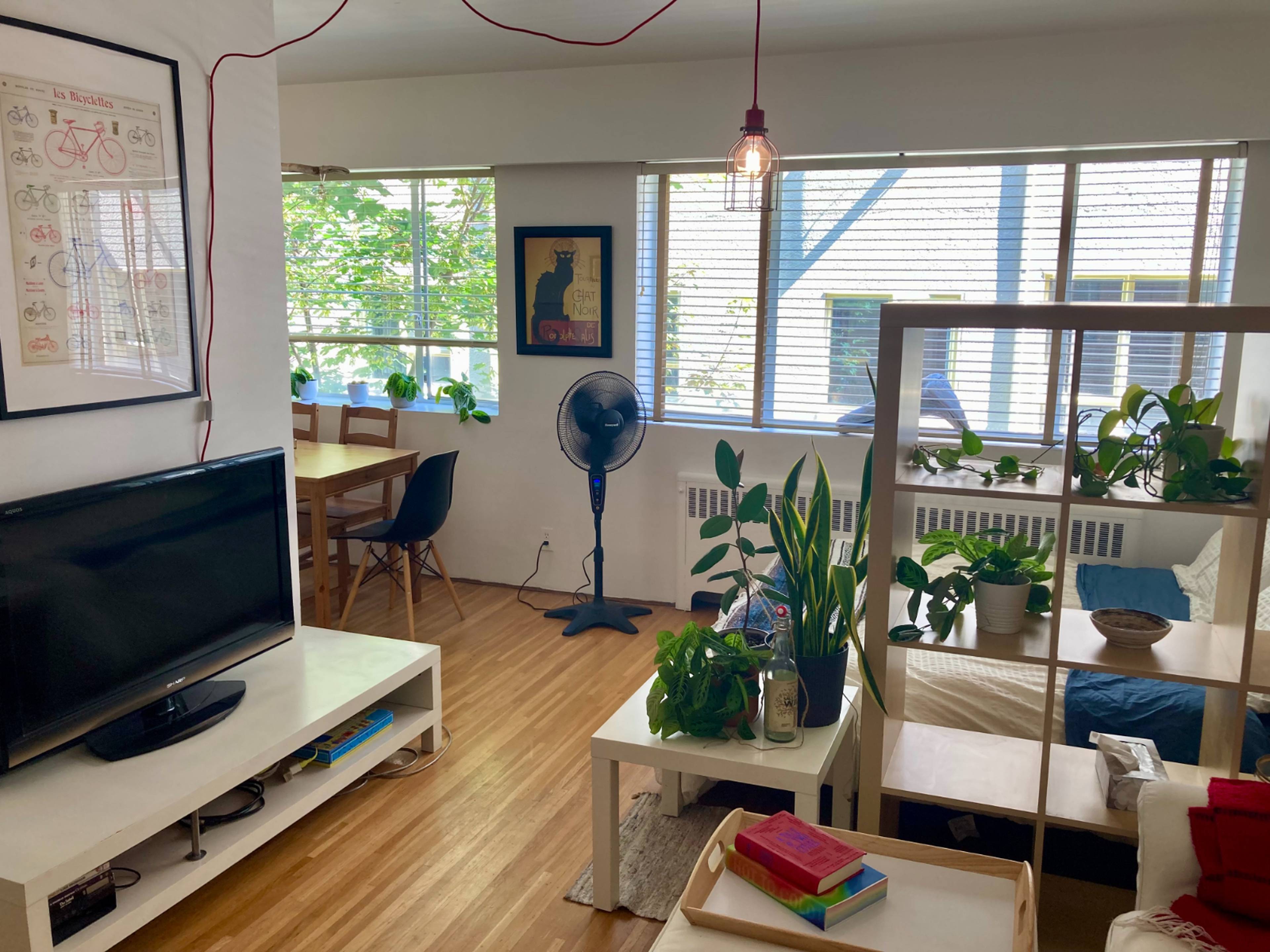 1 Bed  · 1 Bath for rent $500 / day