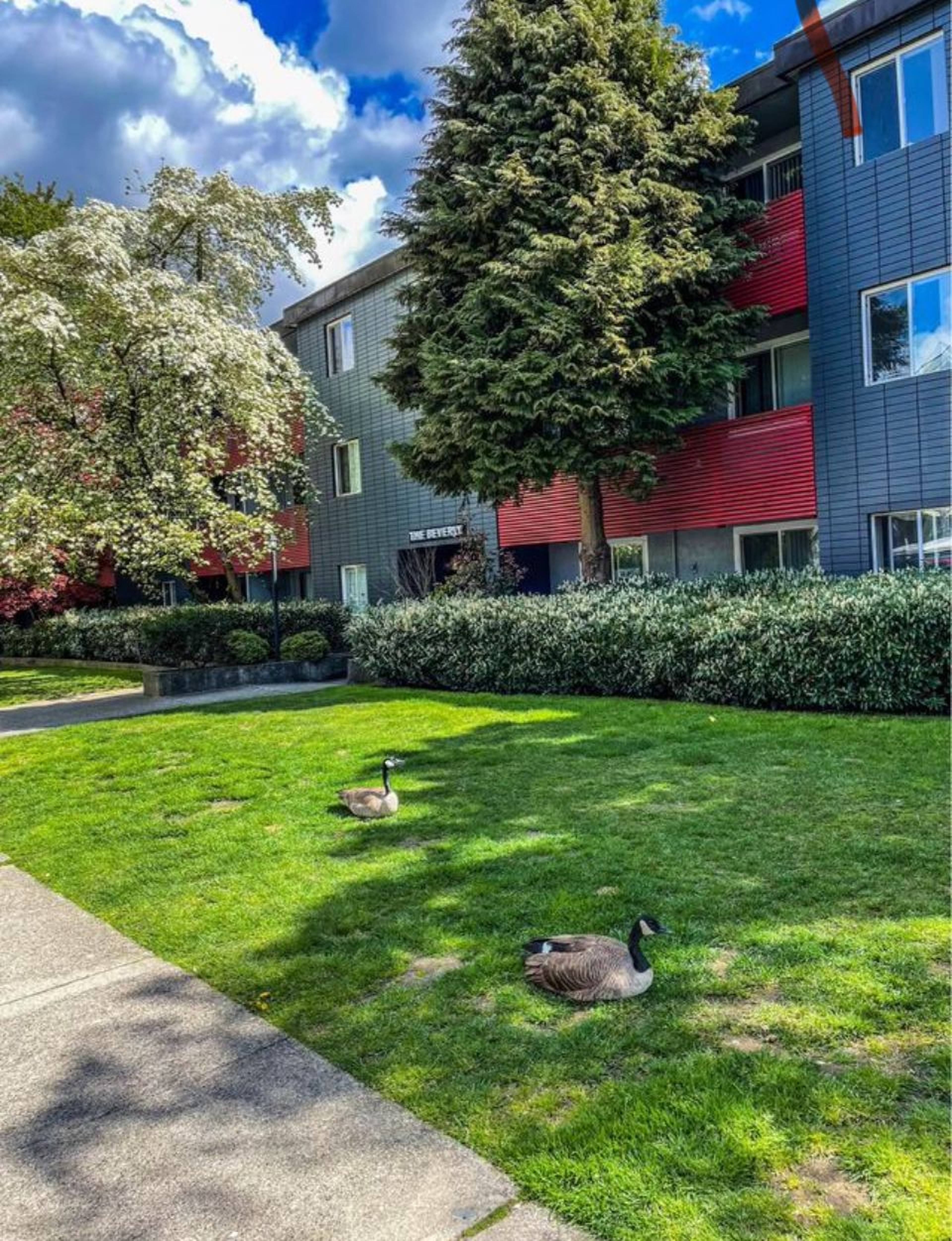 Studio  · 1 Bath for rent $2,150 / month