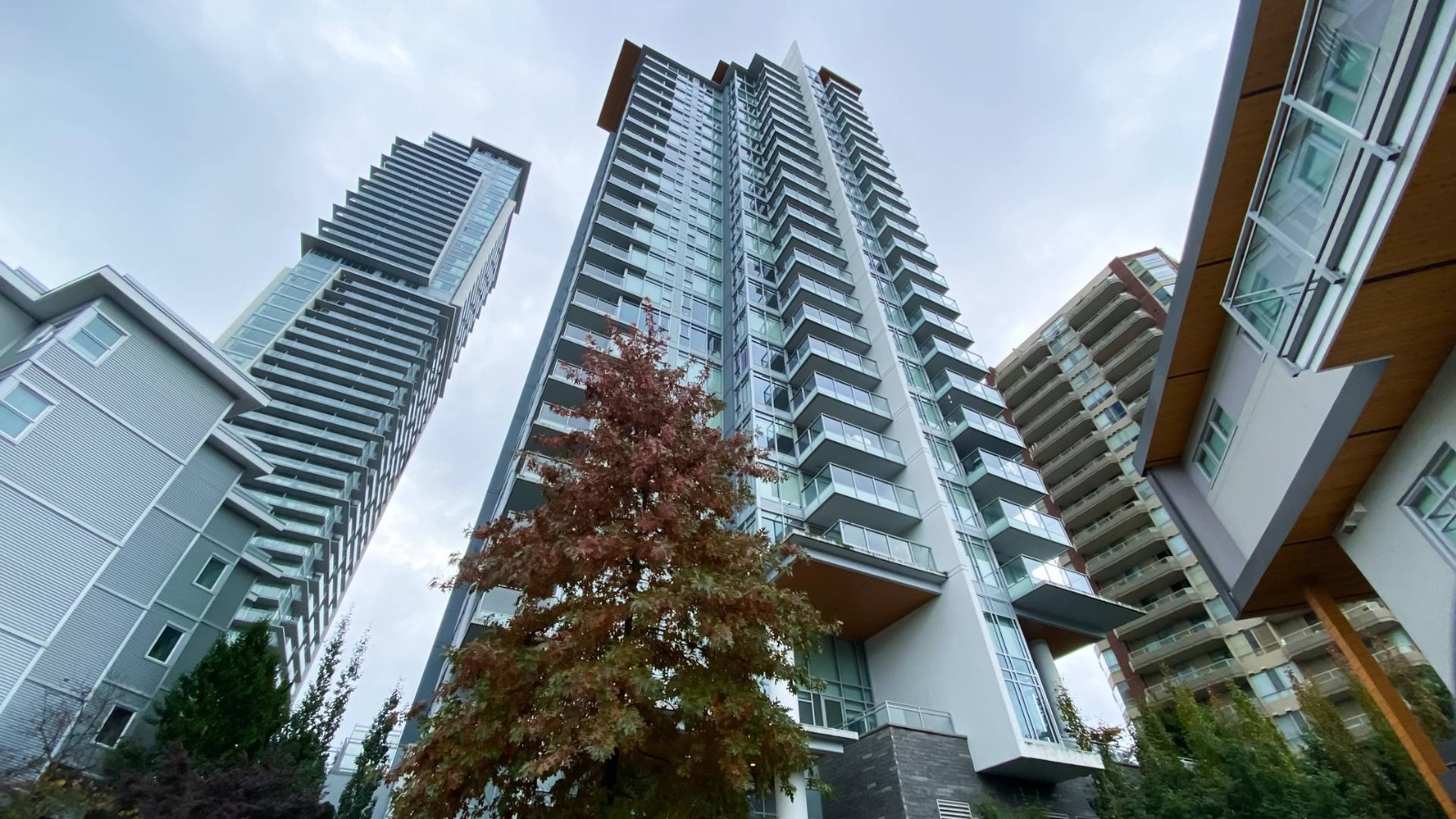 单间 for rent $1,800 / 月