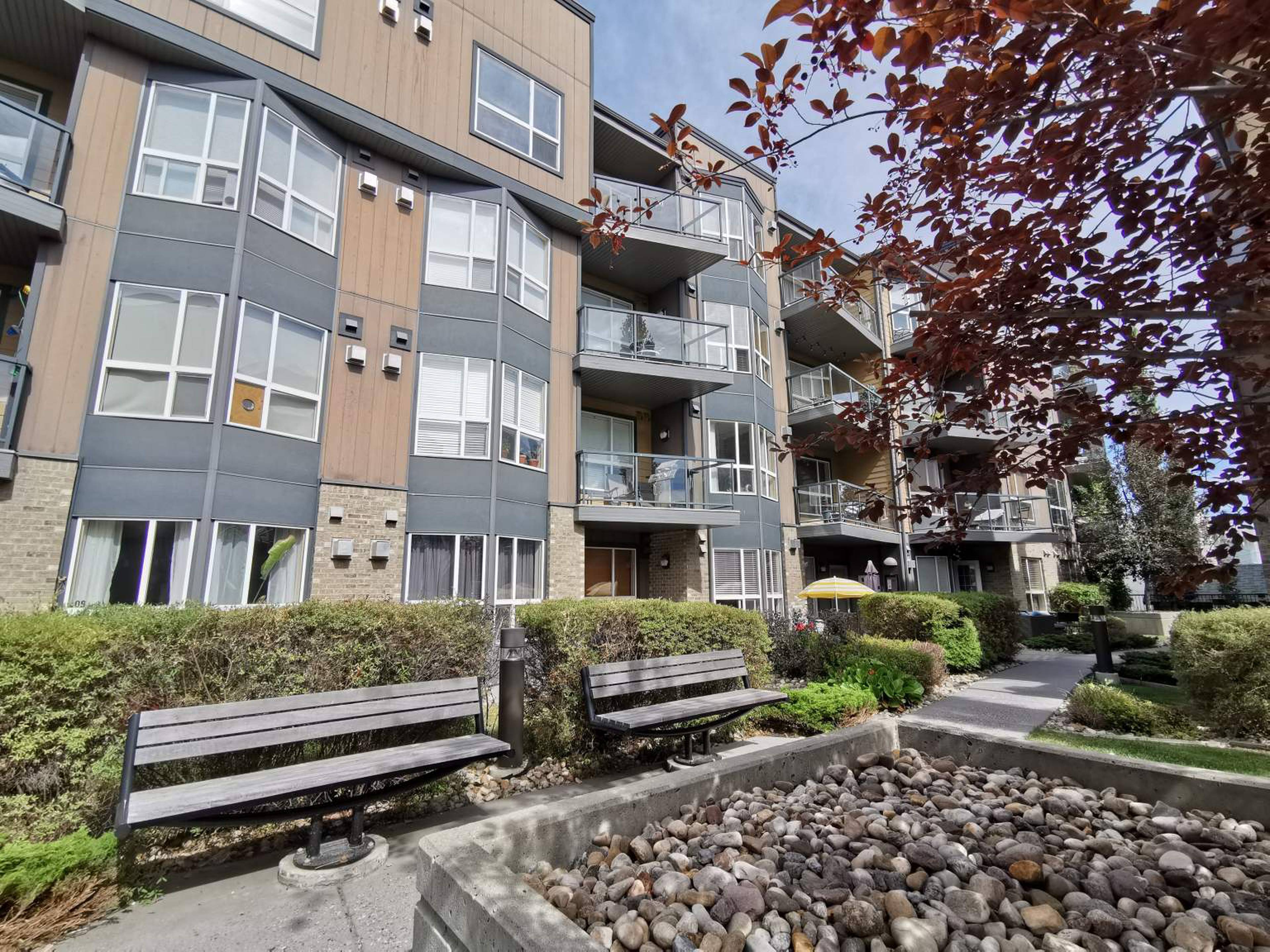1 室  · 1 卫 for rent $1,650 / 月