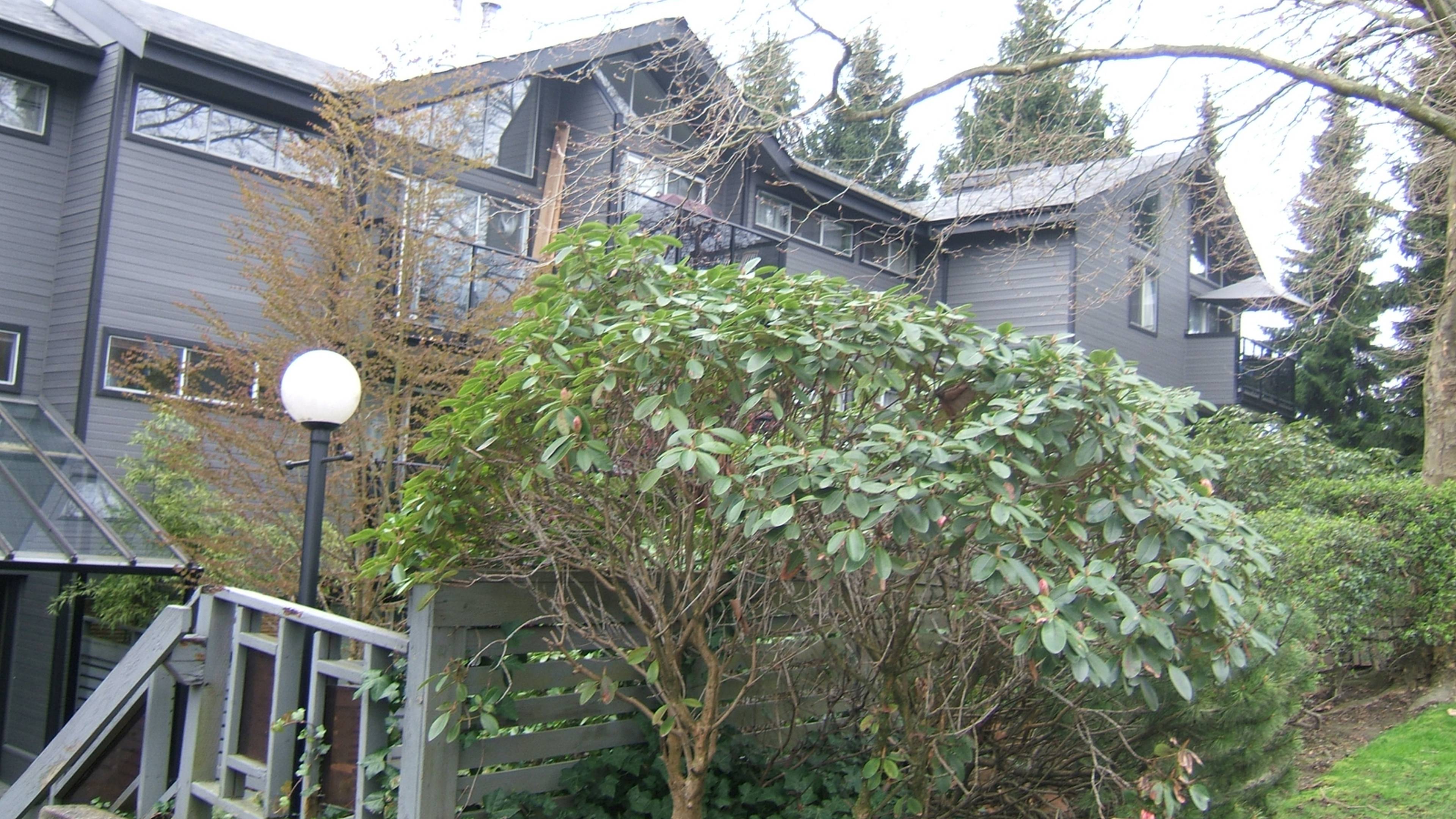2 室  · 1 卫 for rent $1,850 / 月