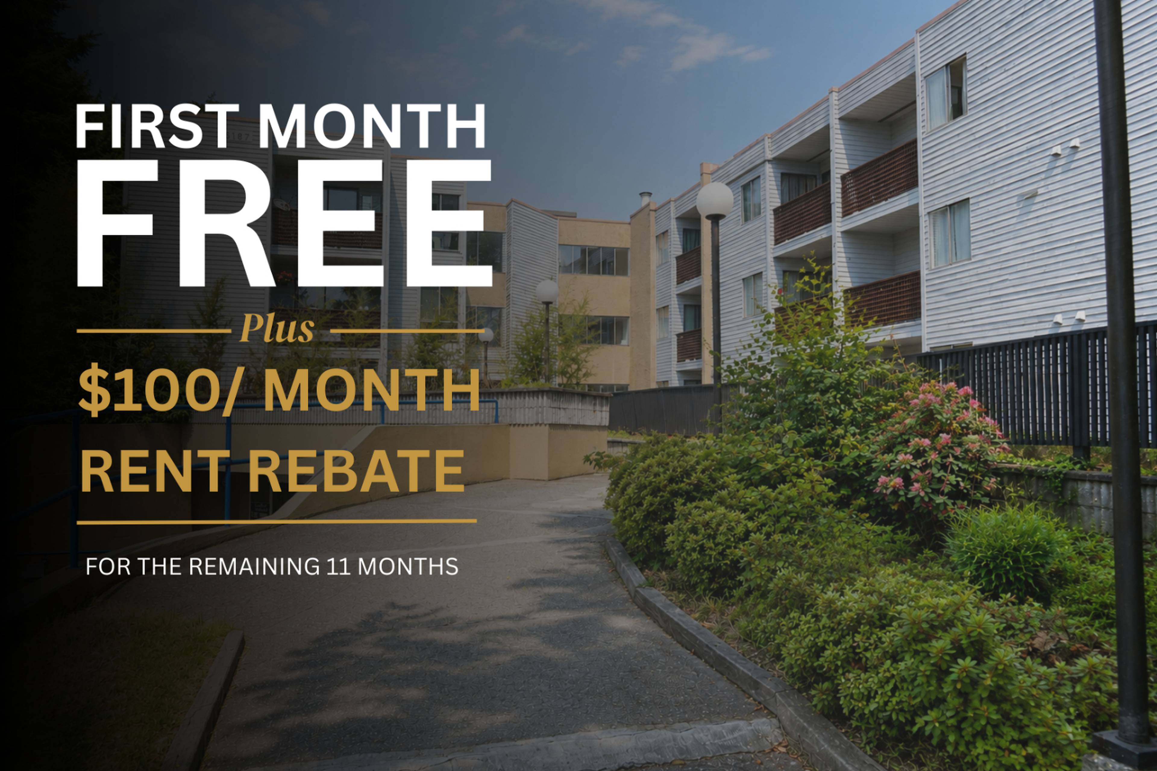 1 室  · 1 卫 for rent $1,695 / 月