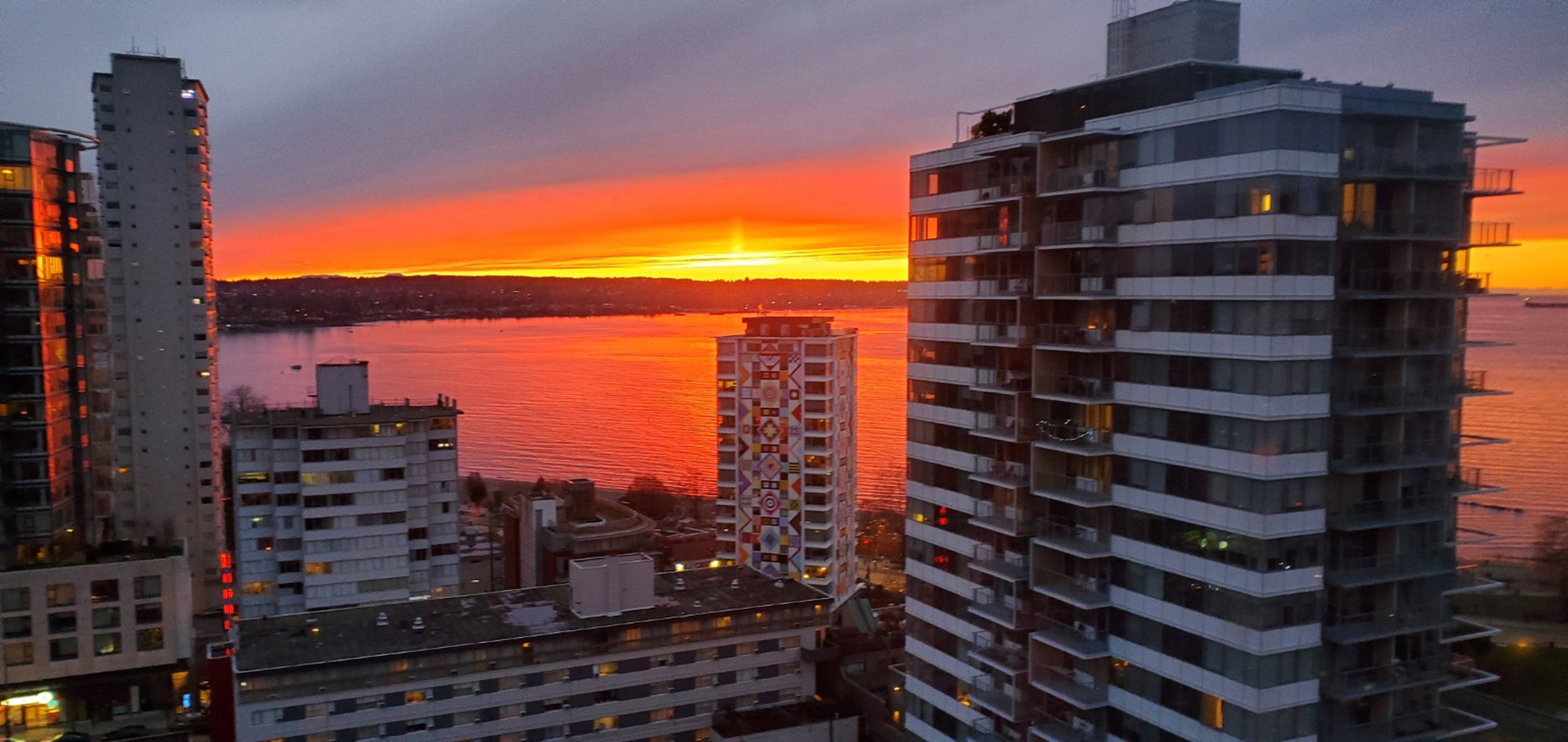 1 Bed  · 1 Bath for rent $2,990 / month