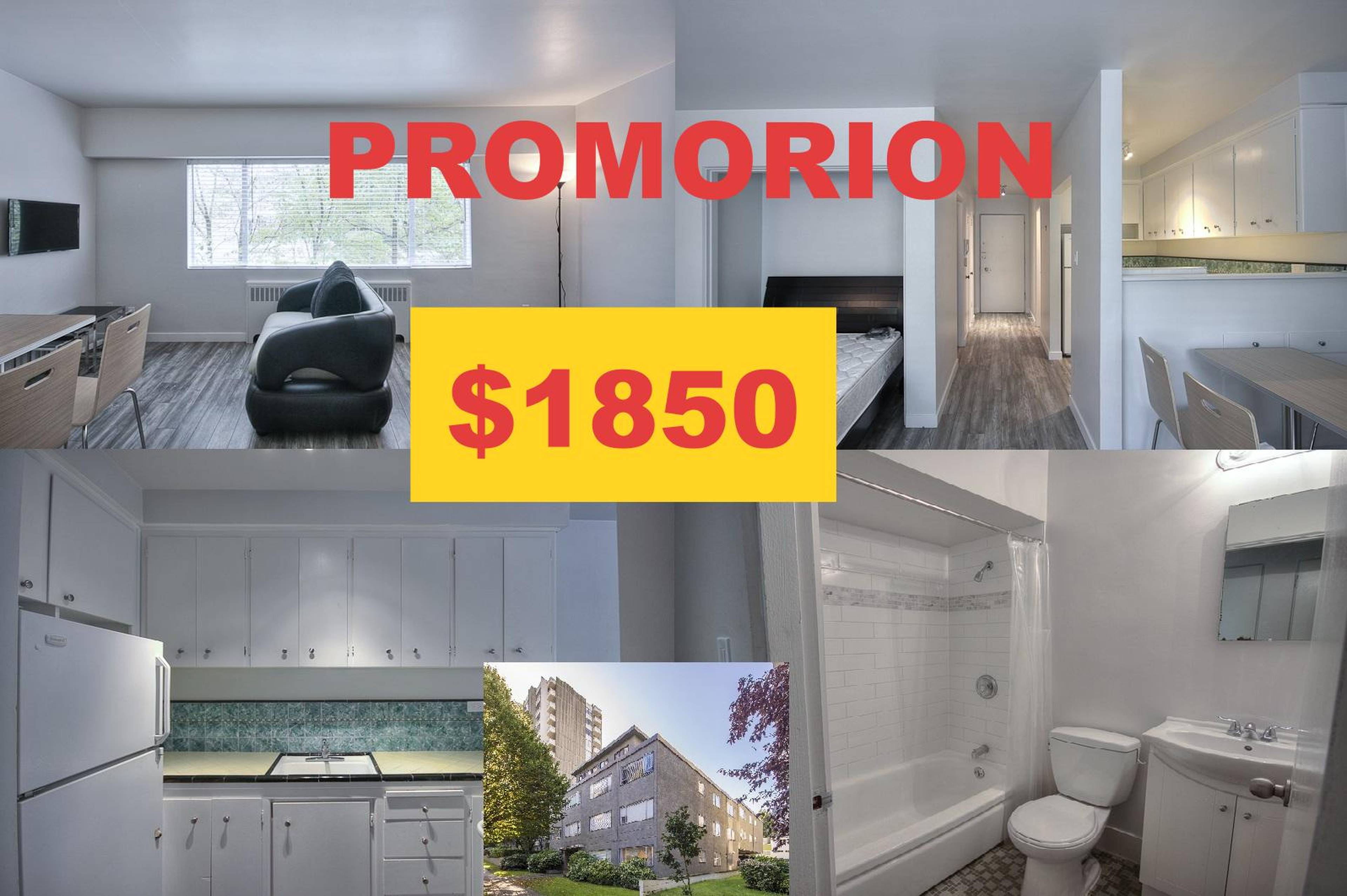 Studio  · 1 Bath for rent $1,850 / month