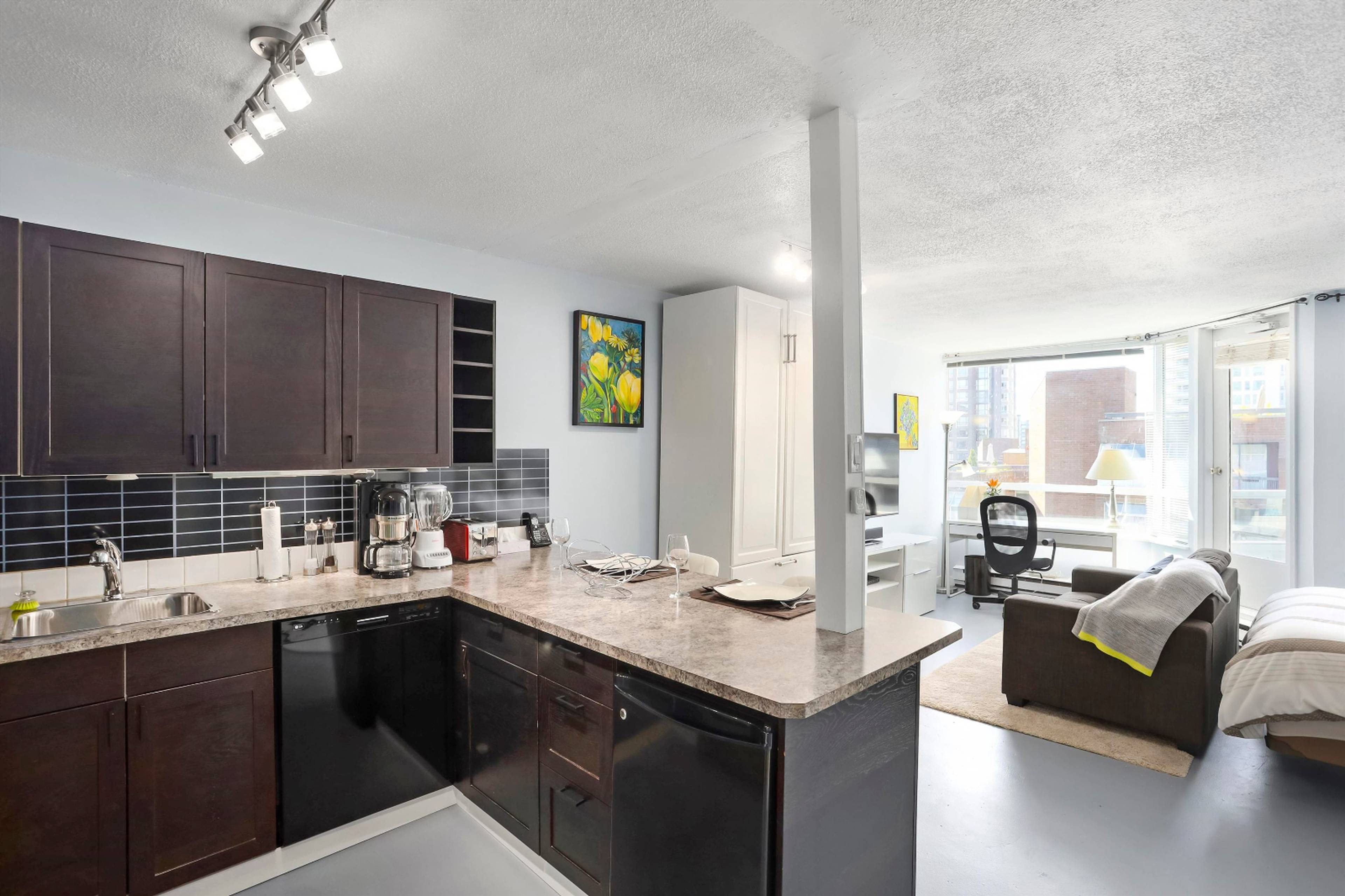 1330 Hornby St, Vancouver, BC Studio Apartment for Rent liv.rent