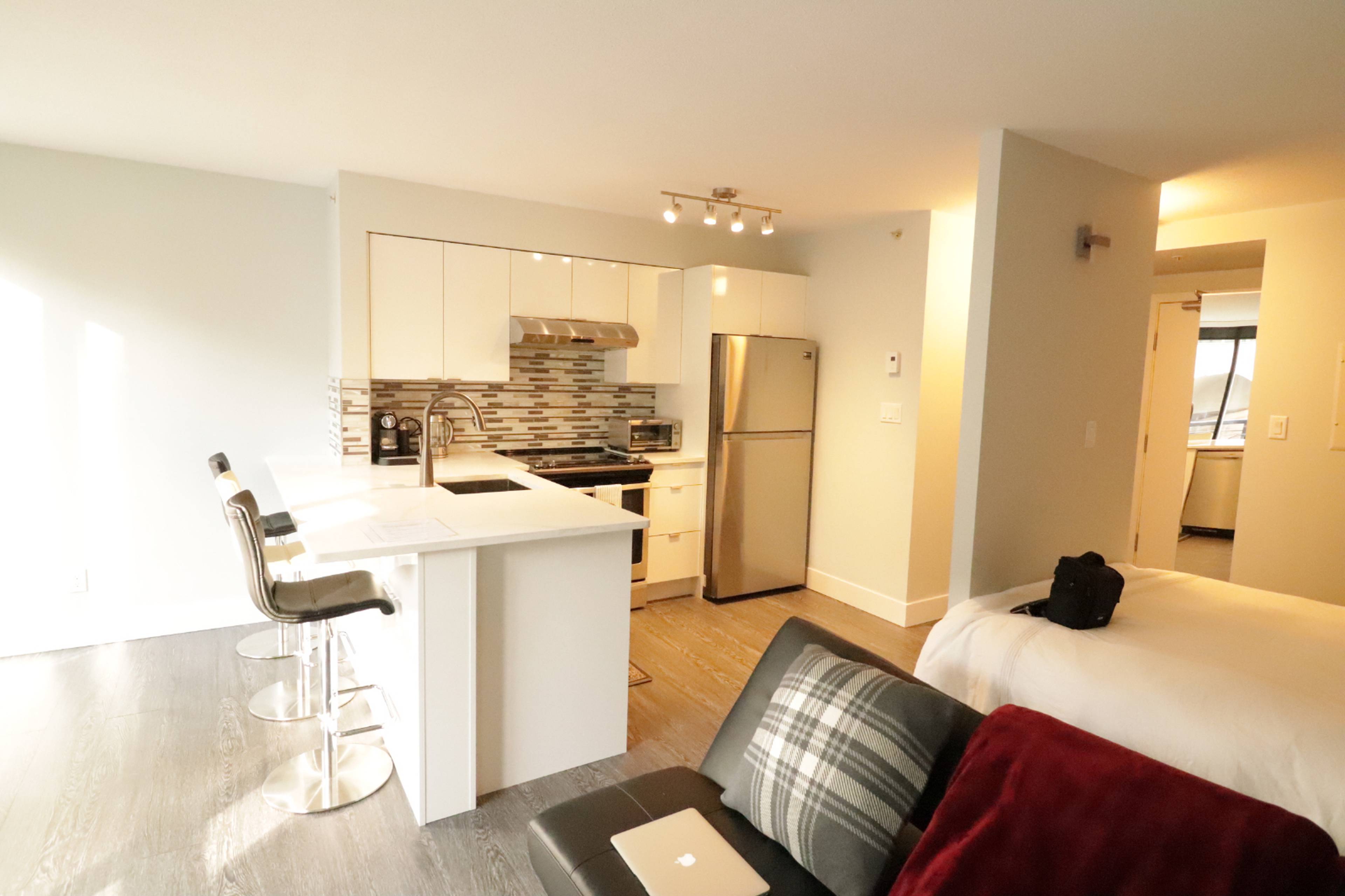 313 1295 Richards St, Vancouver, BC Studio Apartment for Rent liv