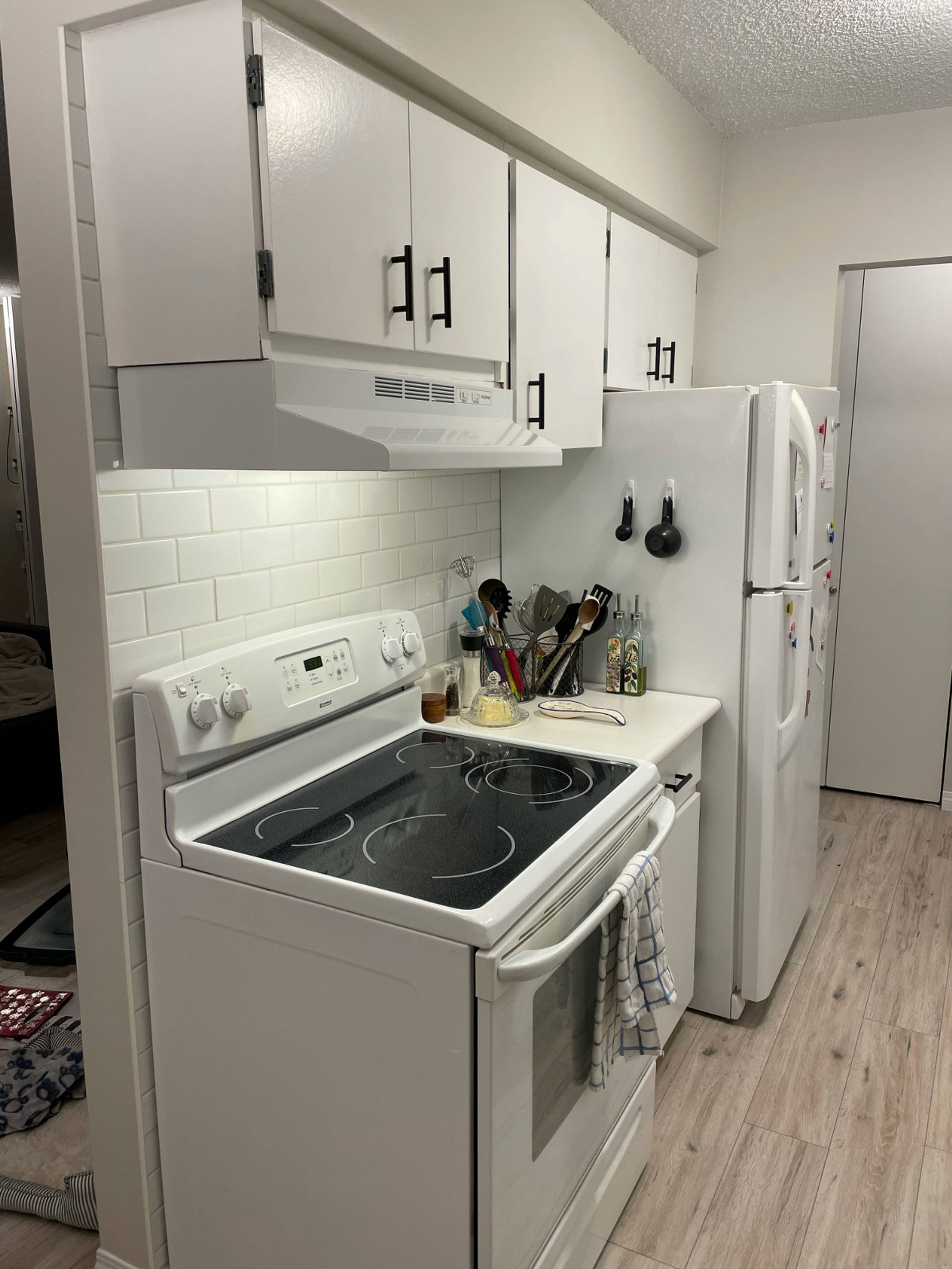 2438 Wilson Ave, Port Coquitlam, BC 1 Bedroom Apartment for Rent