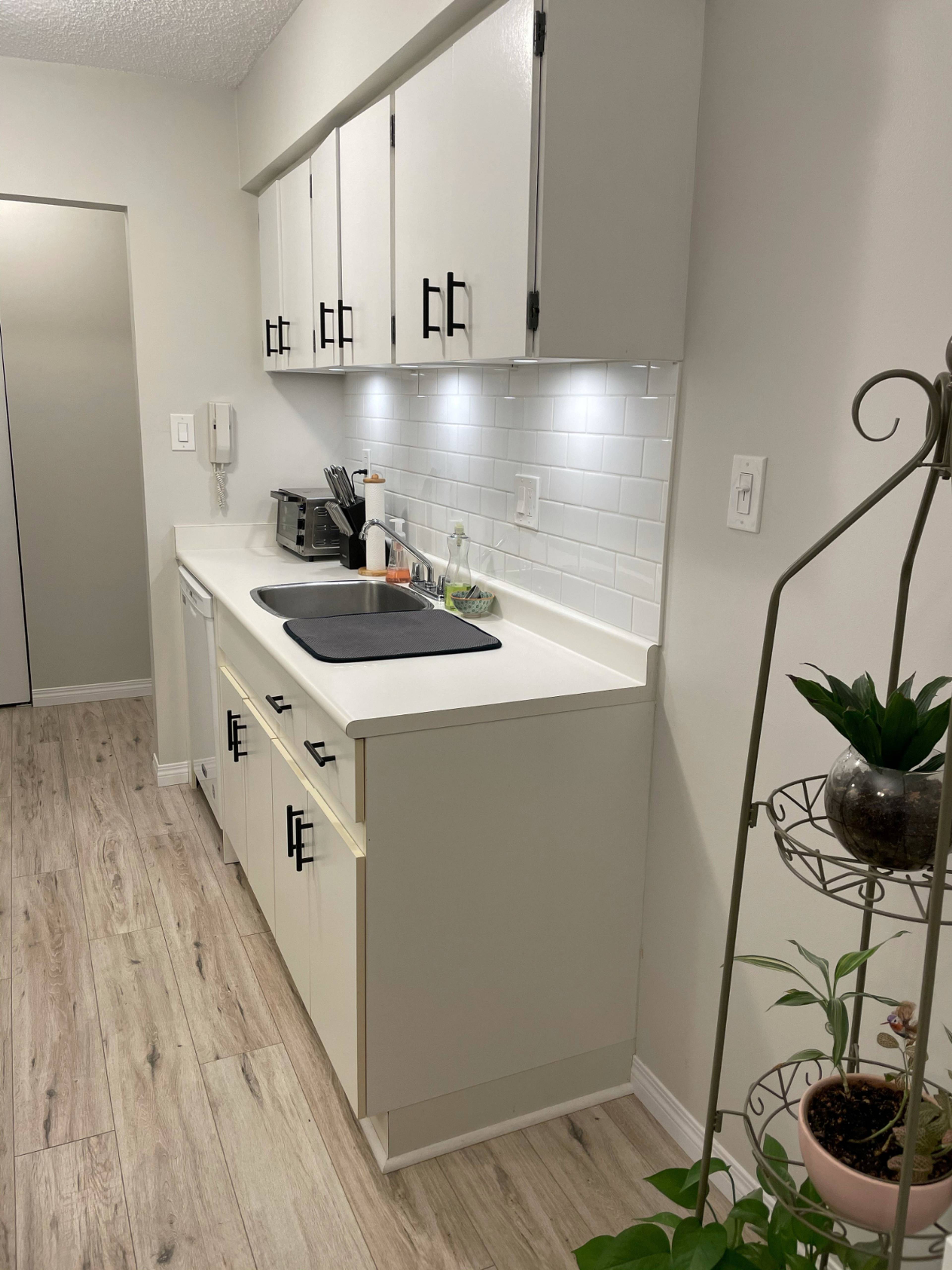 2438 Wilson Ave, Port Coquitlam, BC 1 Bedroom Apartment for Rent