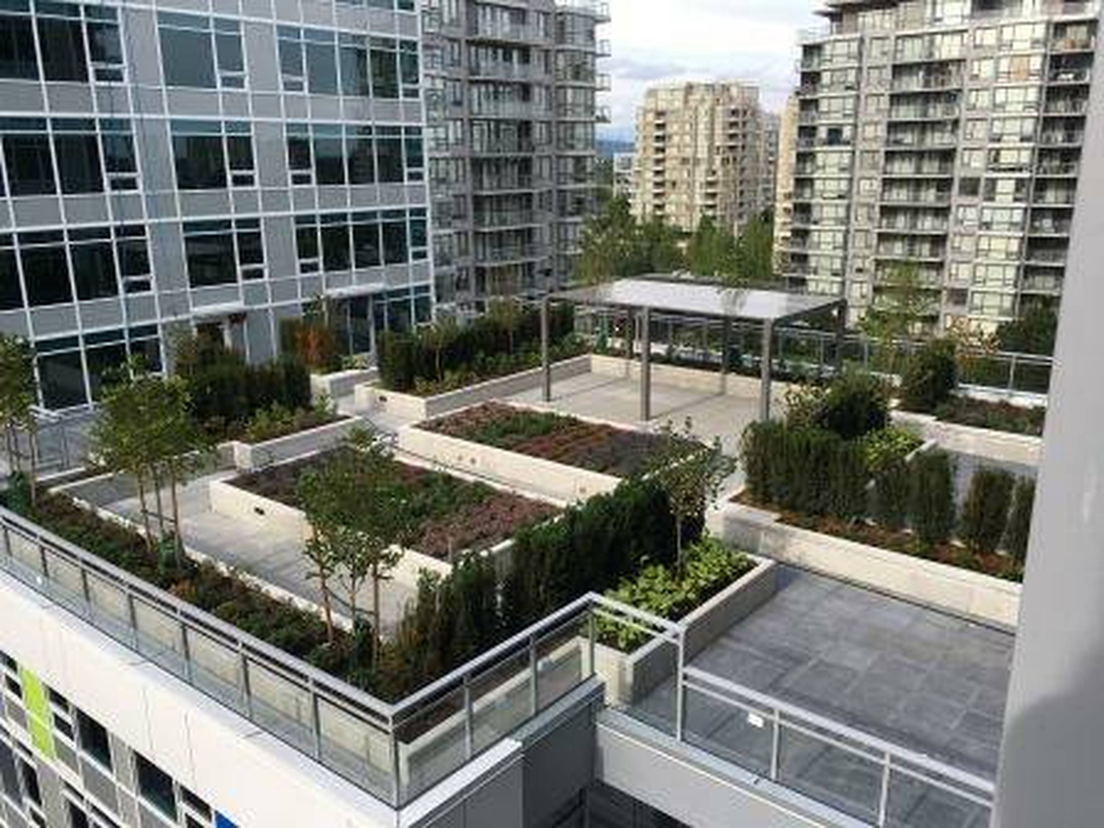 6288-no-3-rd-richmond-bc-1-liv-rent