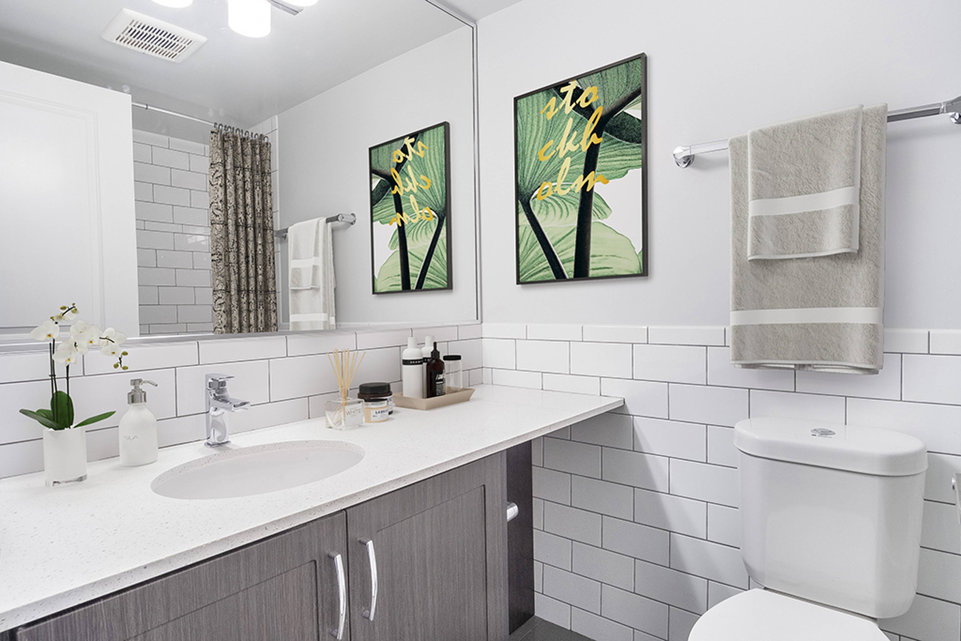 73607376 Halifax St, Burnaby, BC Studio Apartment for Rent liv.rent