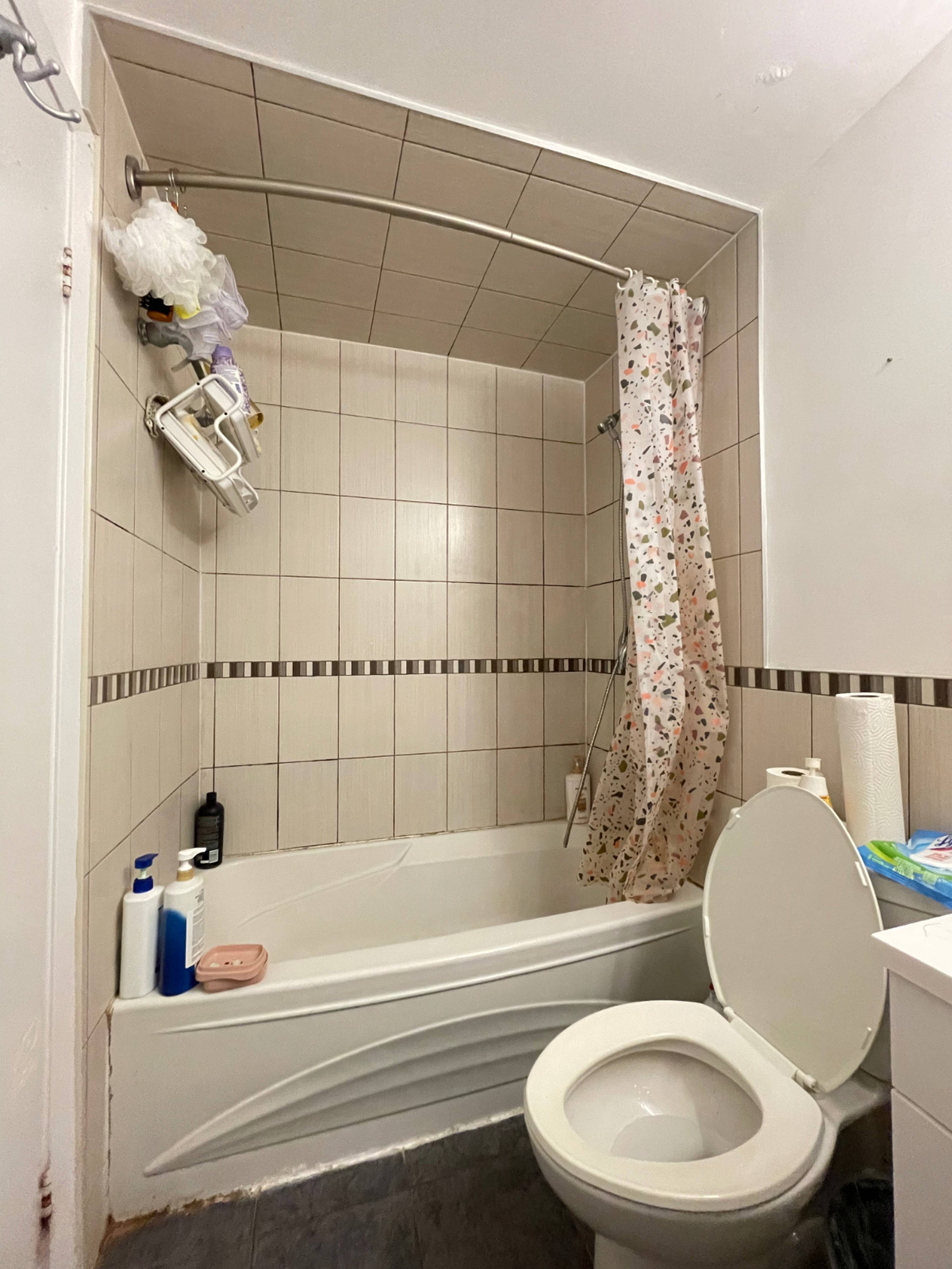 Finch & DonMills One bedroom (Seneca College) 41 Slender Fernway