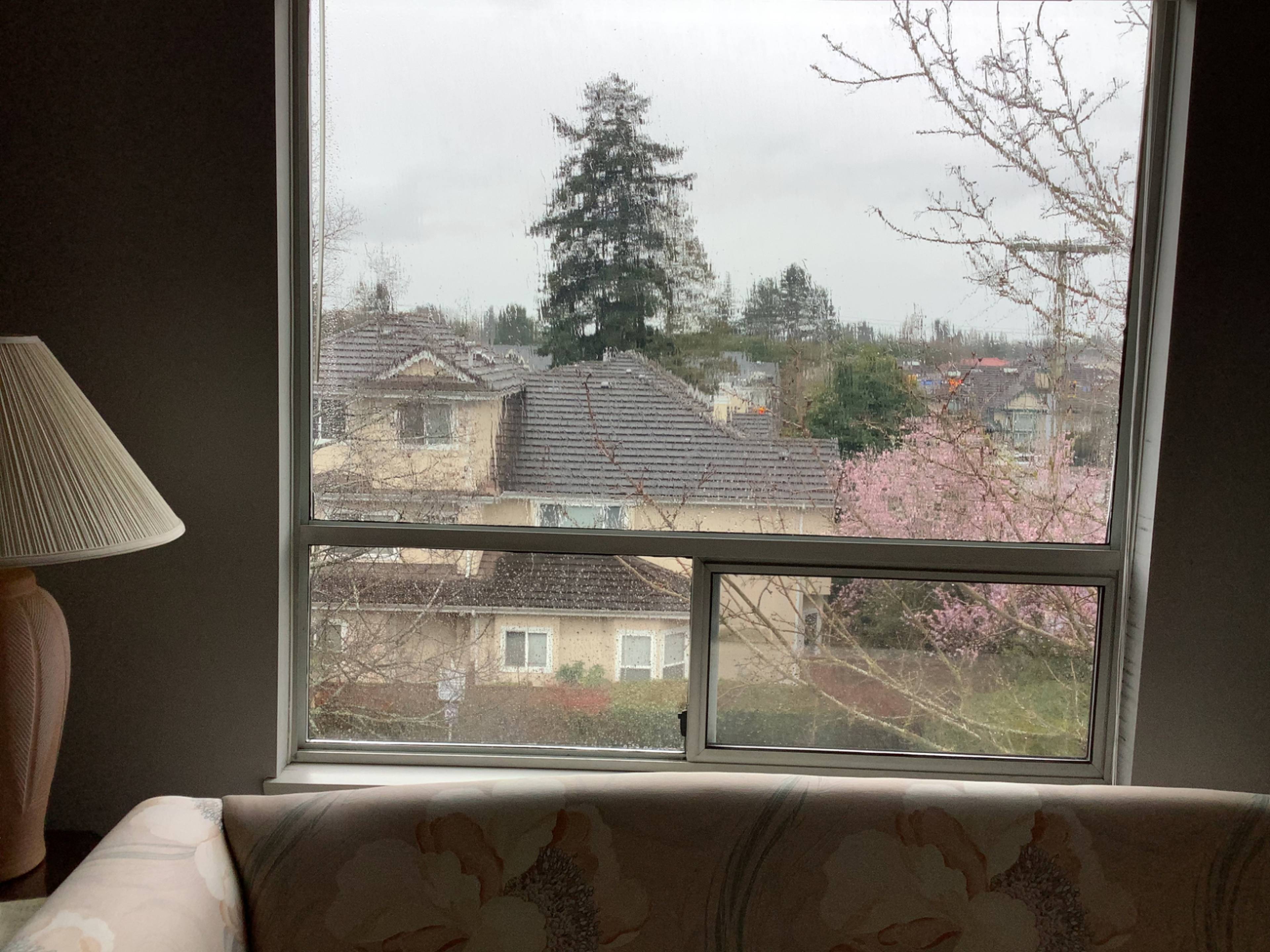 7288 No 3 Rd, Richmond, BC 2 Bedroom Townhouse for Rent liv.rent
