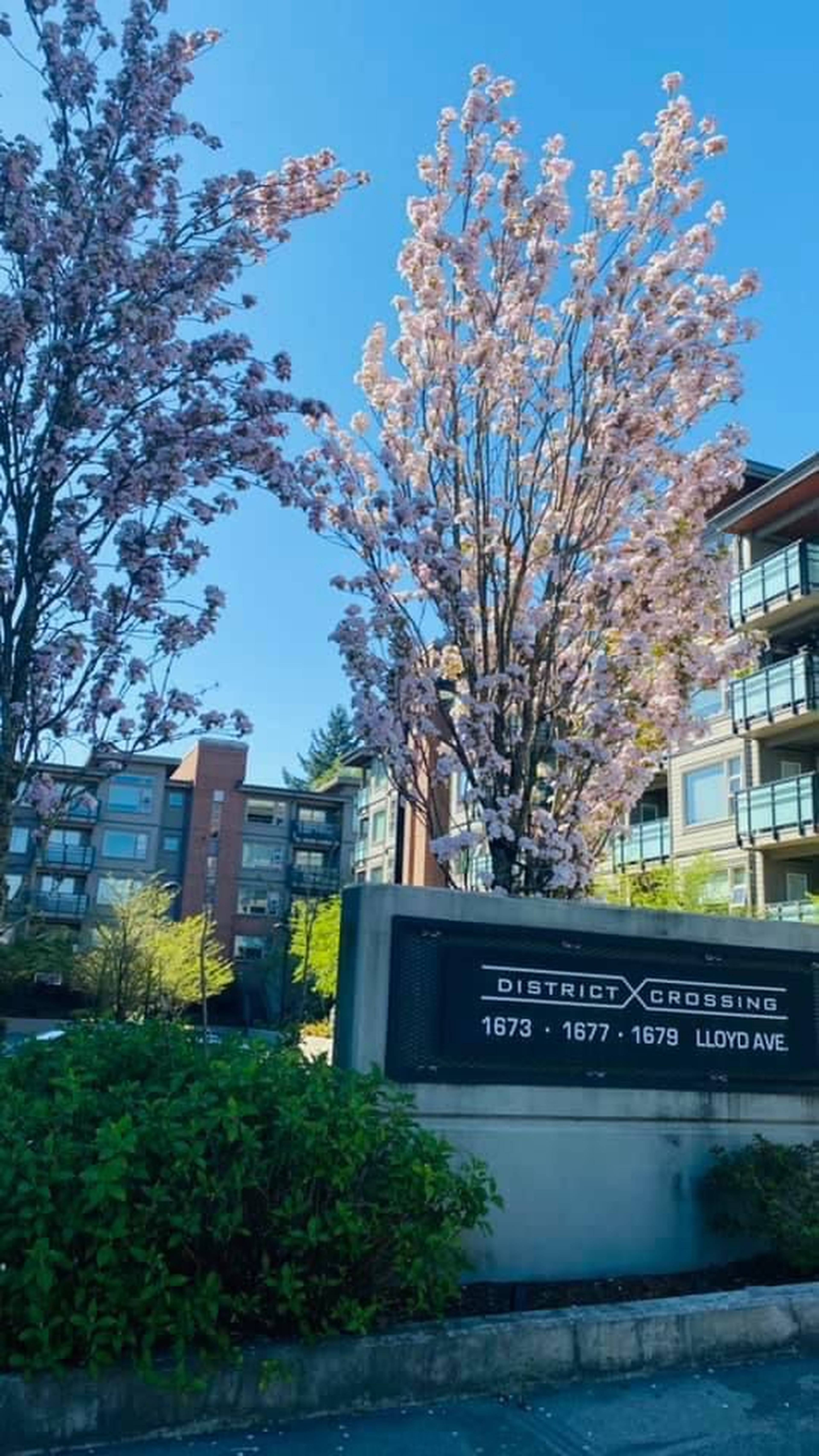 1679 Lloyd Ave 14