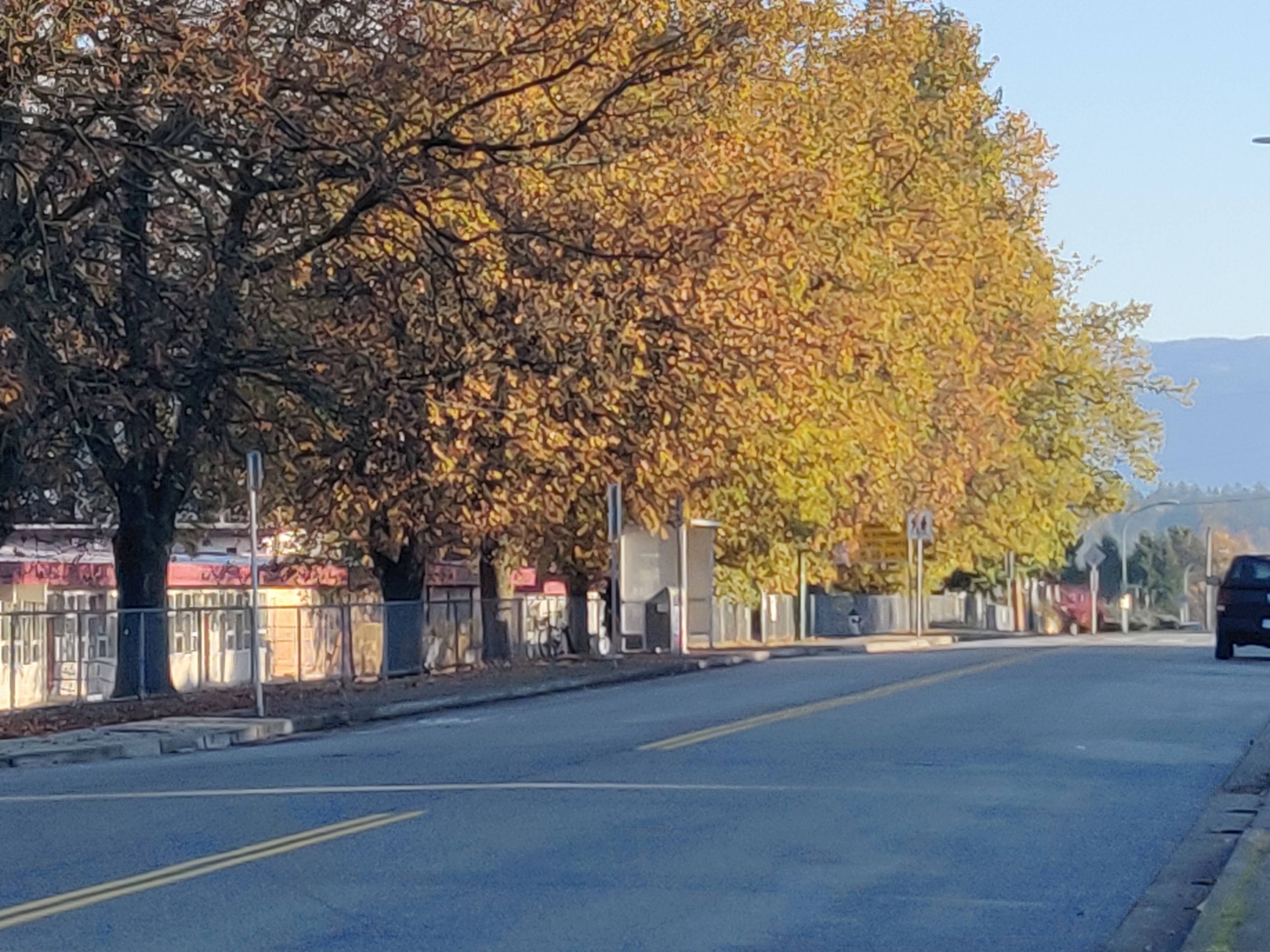 Armstrong Ave, Burnaby, BC Furnished Room for Rent liv.rent