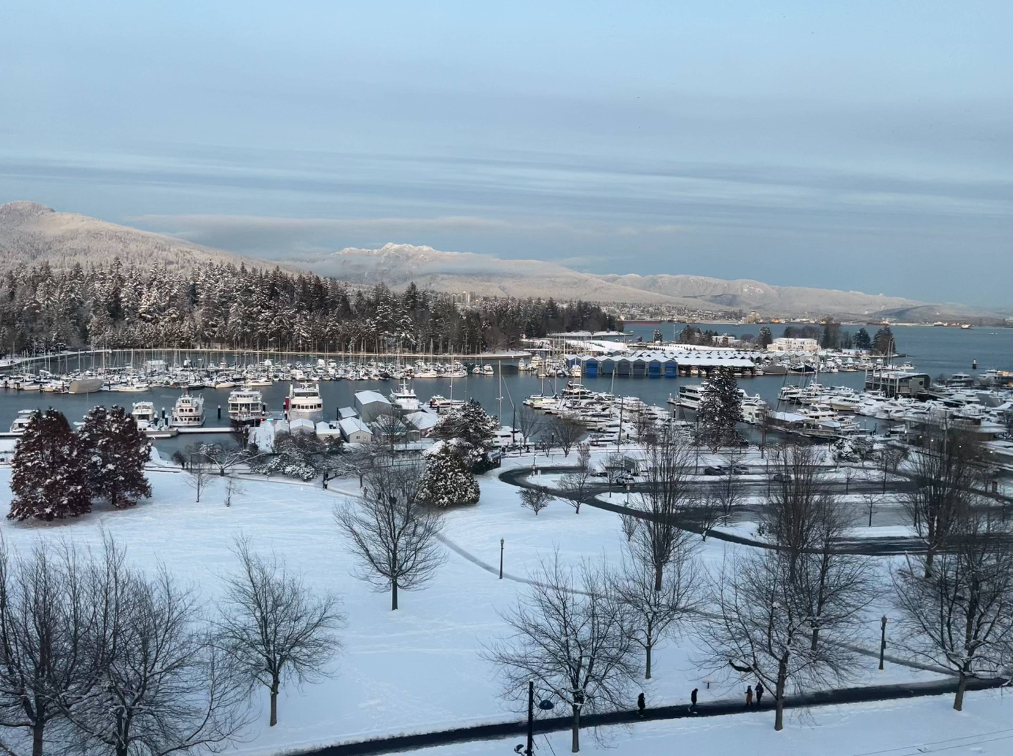 1889 Alberni St, Vancouver, BC 1 Bedroom Apartment for Rent liv.rent