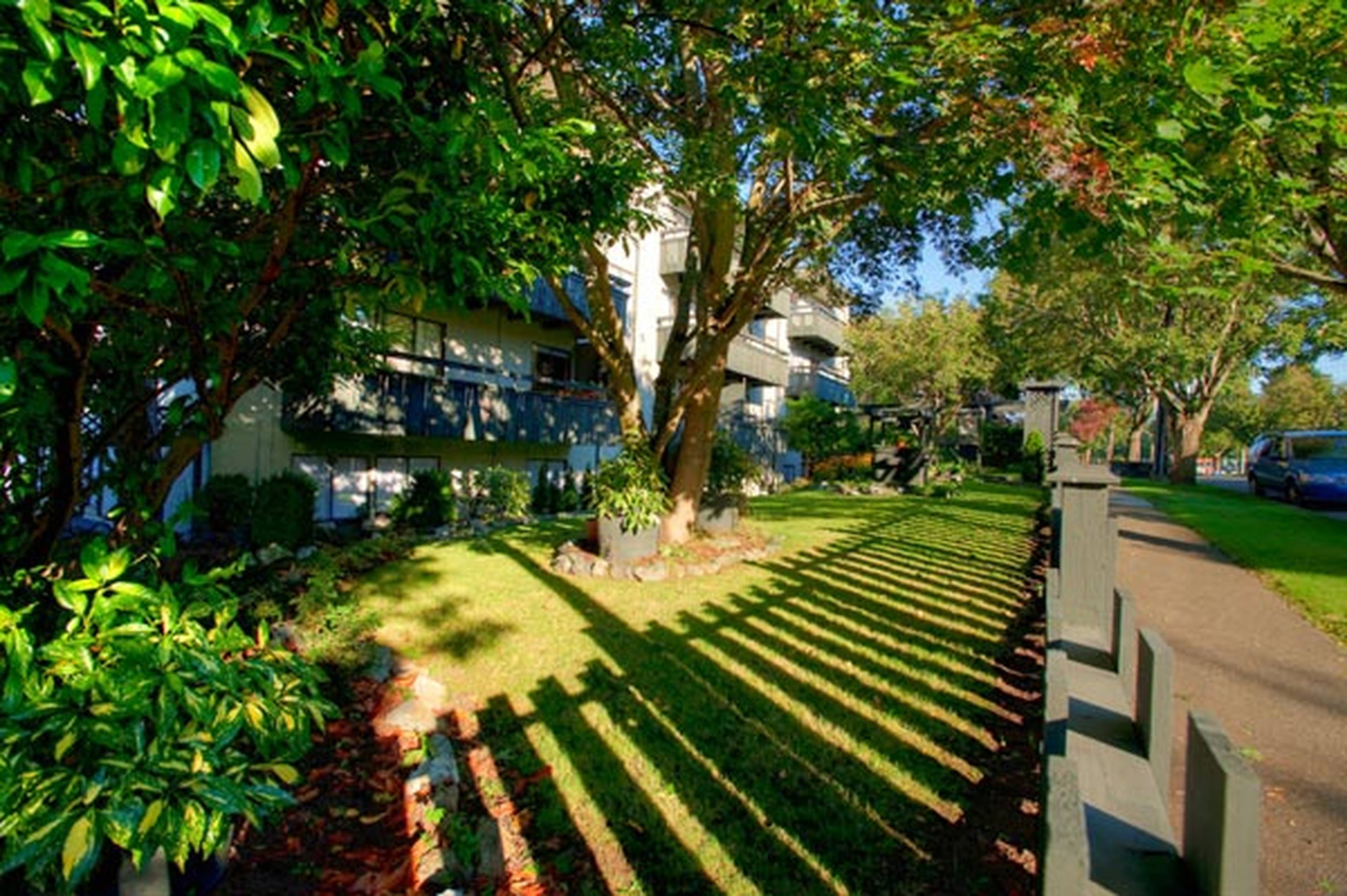 2644 Prior St, Victoria, BC 1 Bedroom Apartment for Rent liv.rent