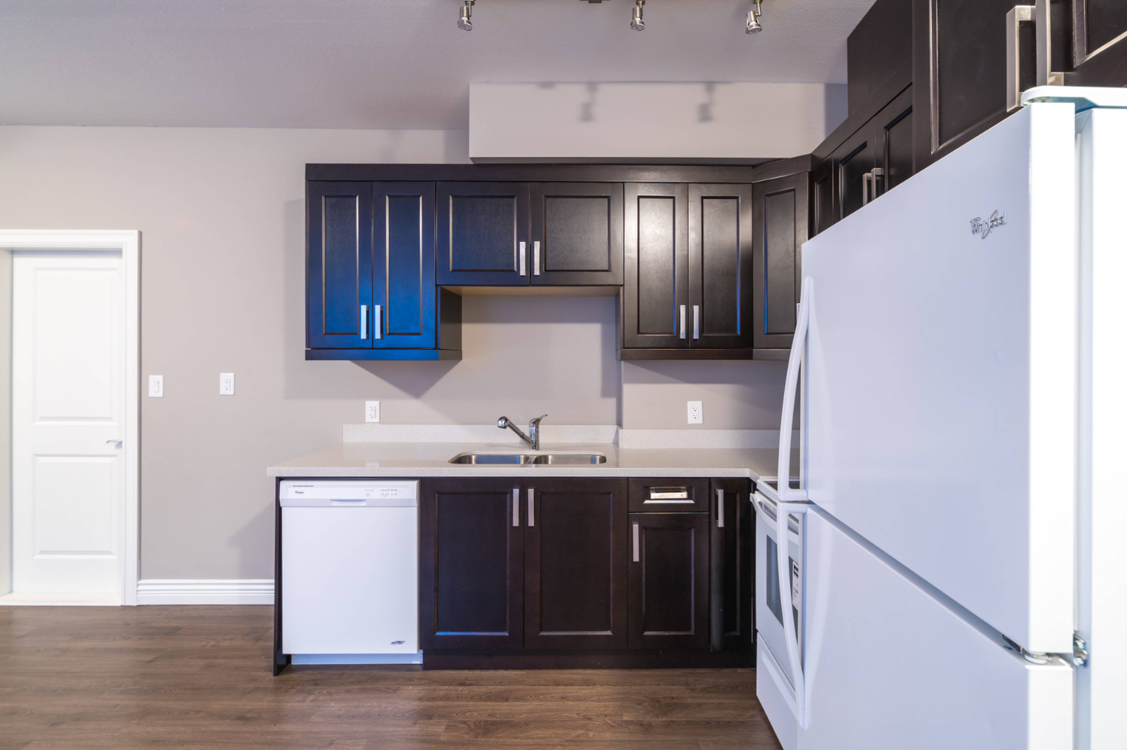 Basement suite 648 Hillcrest St, Coquitlam, BC 2 Bedroom House for