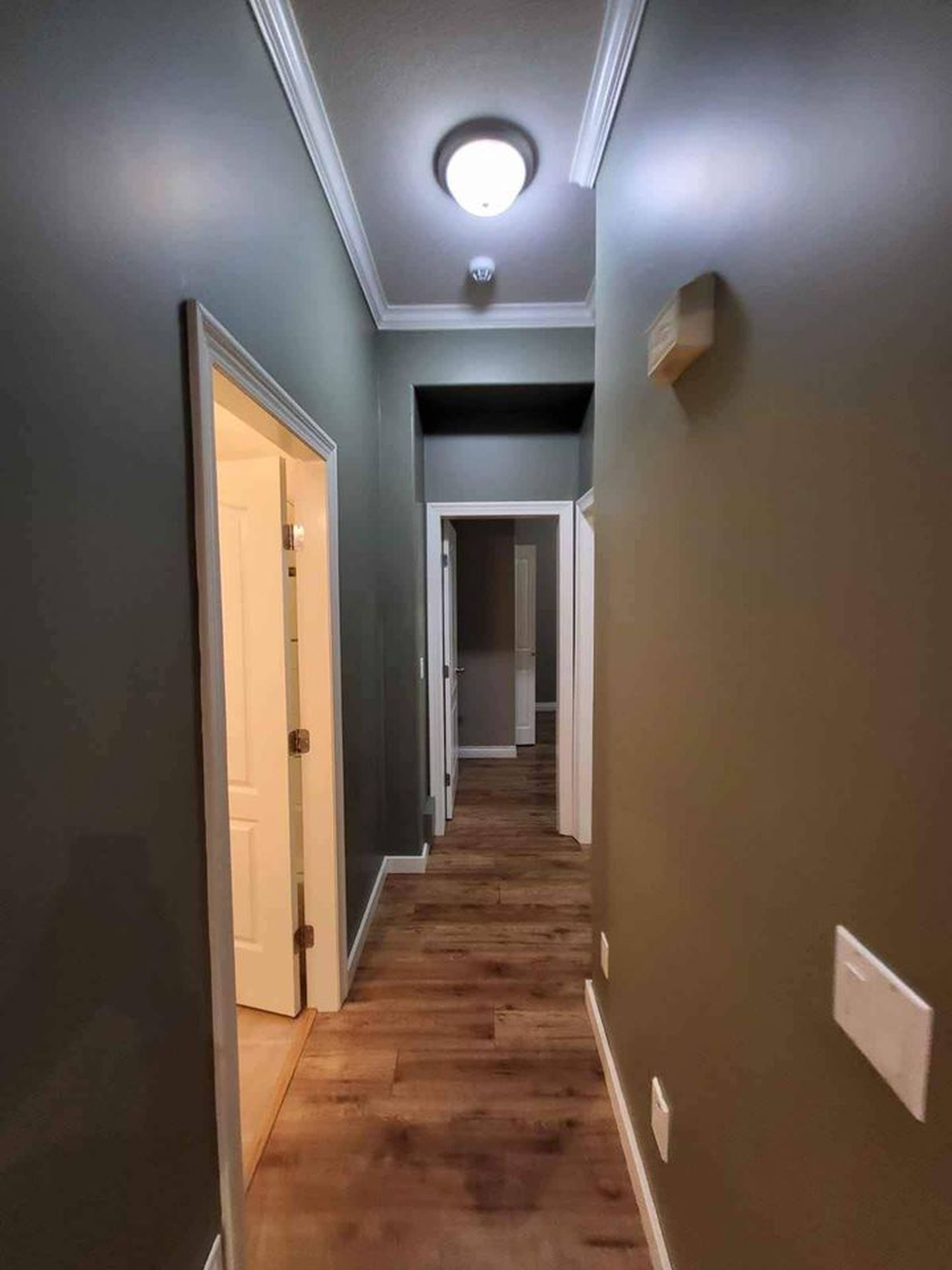 Linton Street Coquitlam, Coquitlam, BC 2 室 单间 出租 liv.rent