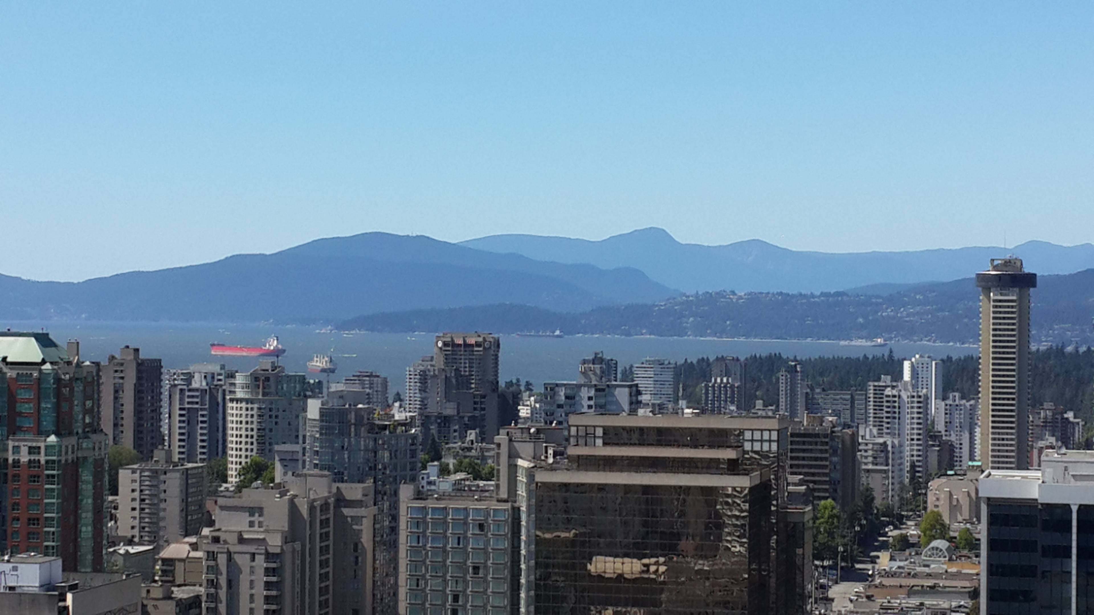 1 Bed  · 1 Bath for rent $3,300 / month