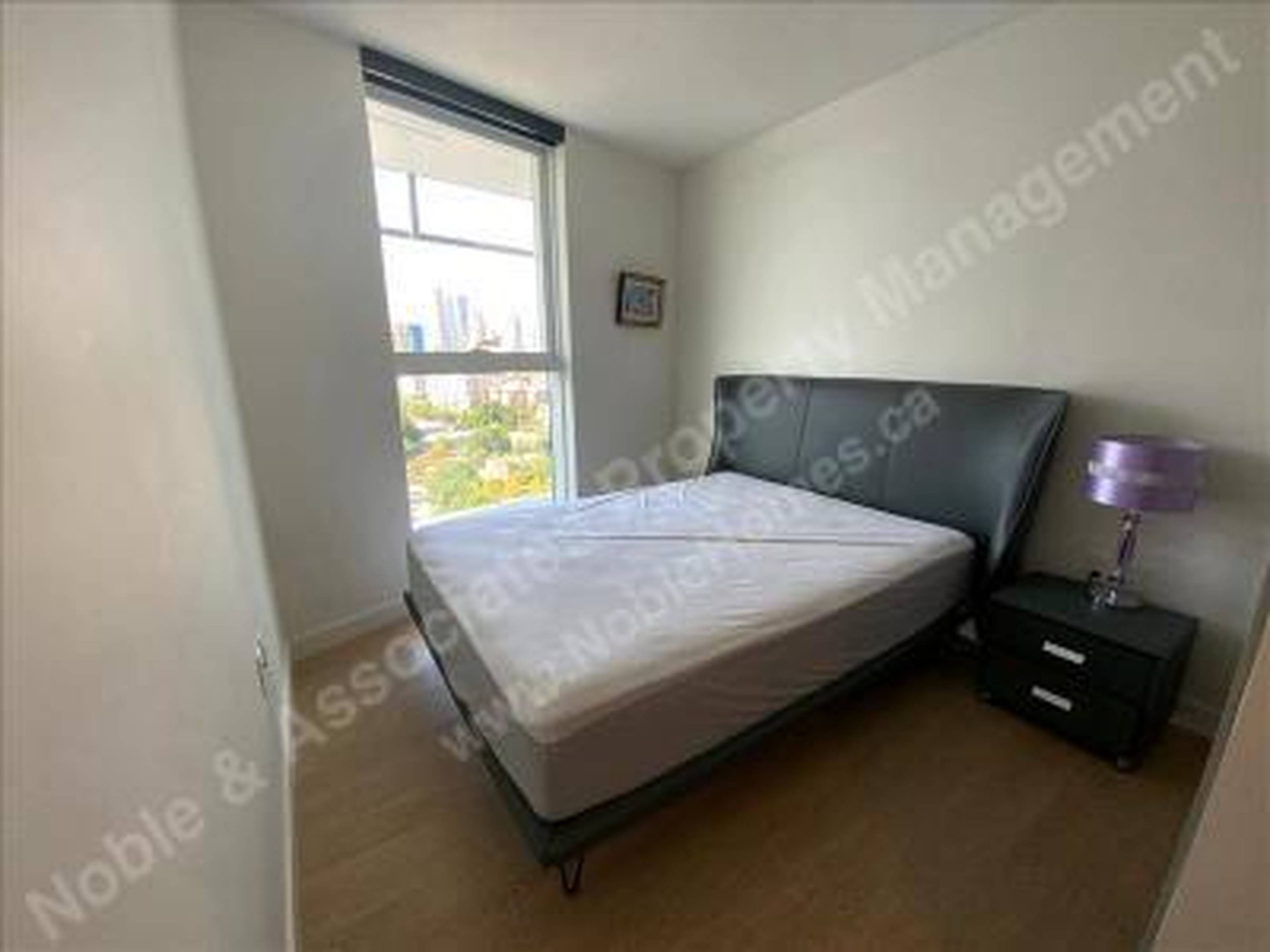 87 Nelson St 5