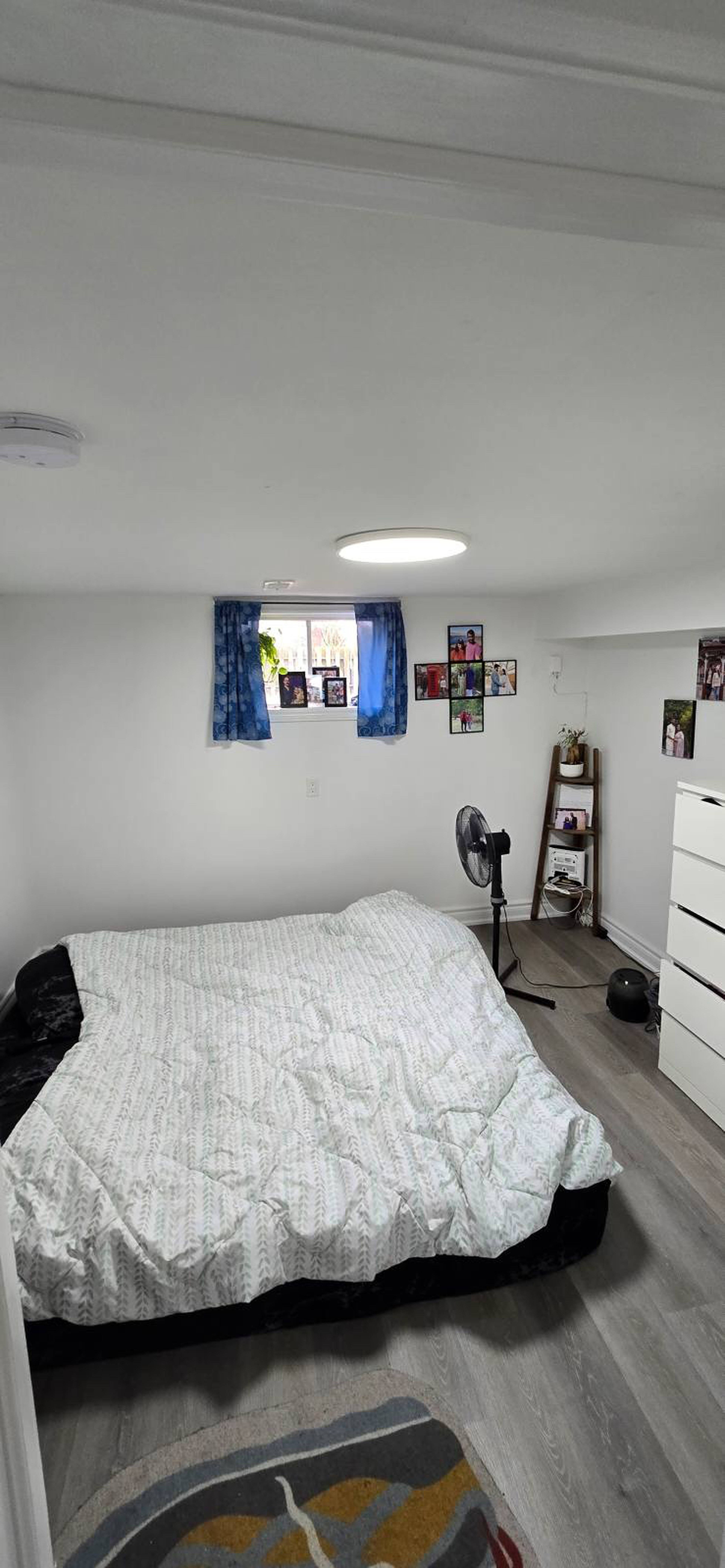 21 Merryfield Dr