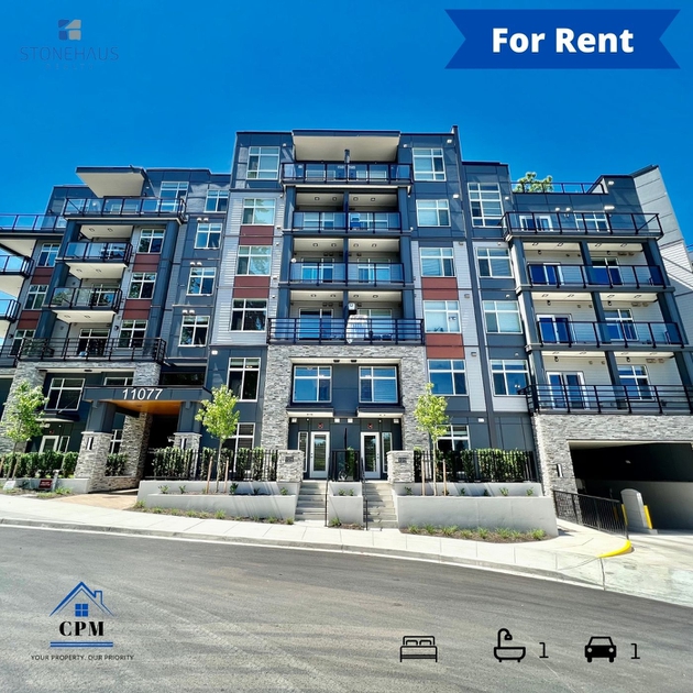 120 - 11077 Ravine Rd, Surrey, BC - Studio Apartment for Rent | liv.rent