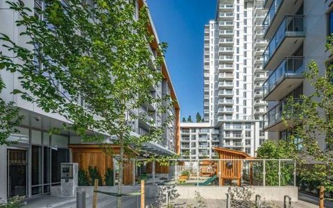 Vancouver Apartments Houses And Rooms For Rent Liv Rent