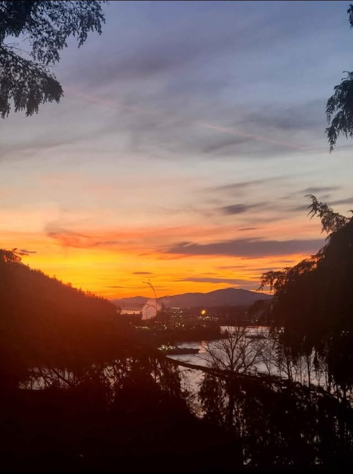 Room in House for Rent - Braeside Dr, Burnaby, BC 5